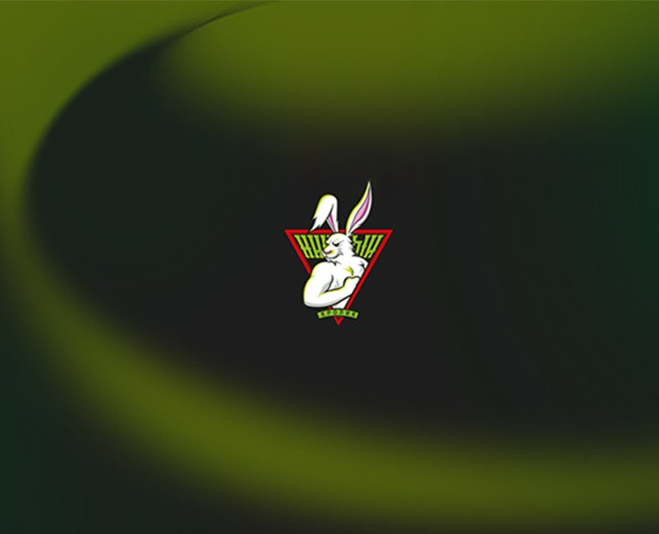 Дизайн спортивной команды "Хищный кролик" — Брендинг на Dprofile