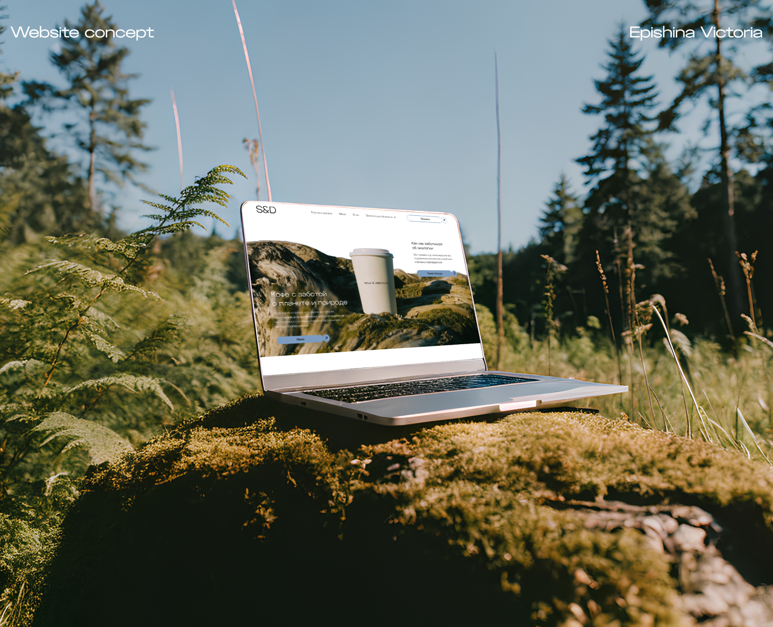 S&D | Website Design Concept — Интерфейсы на Dprofile