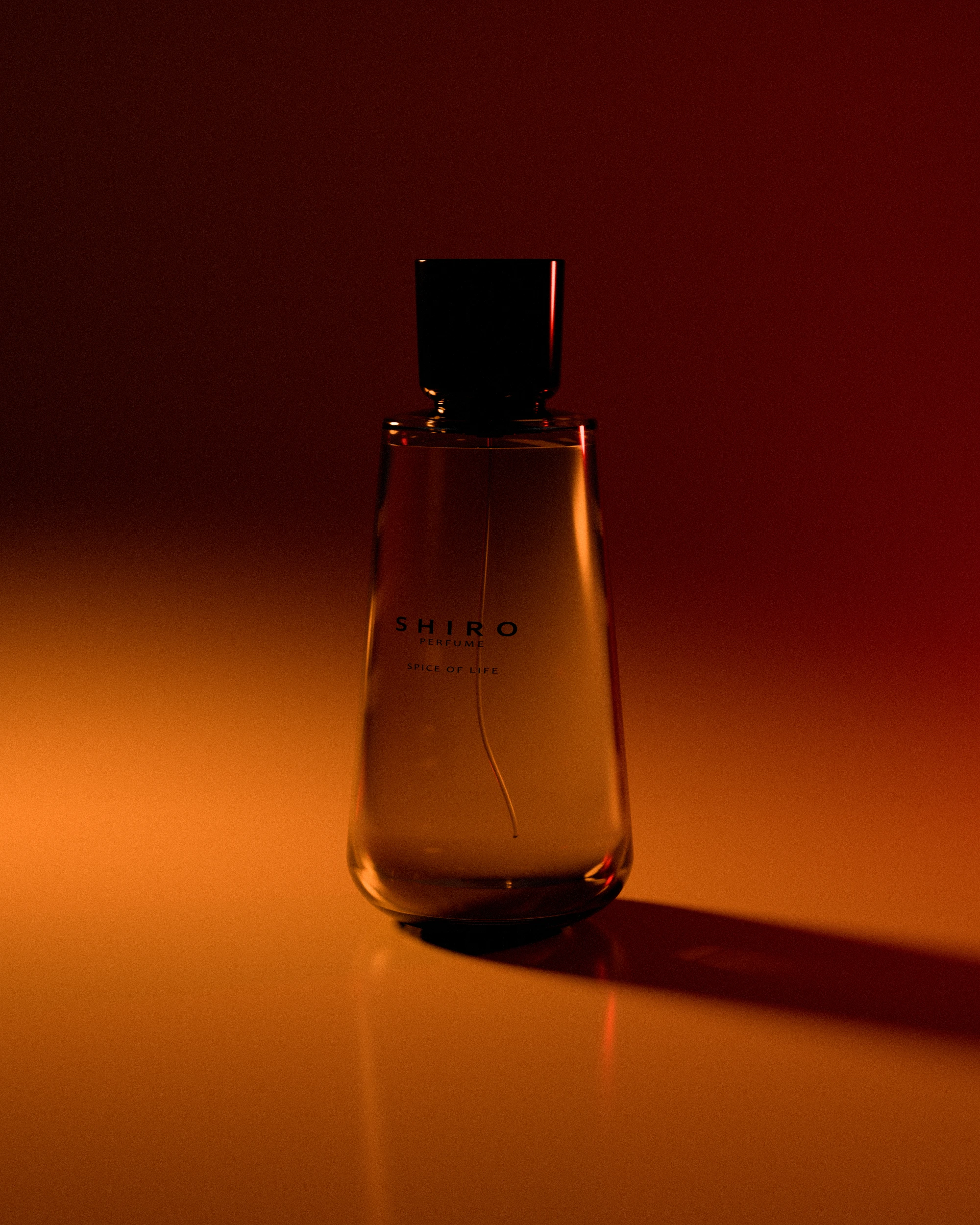 •SHIRO — Изображение №1 — Иллюстрация, 3D на Dprofile