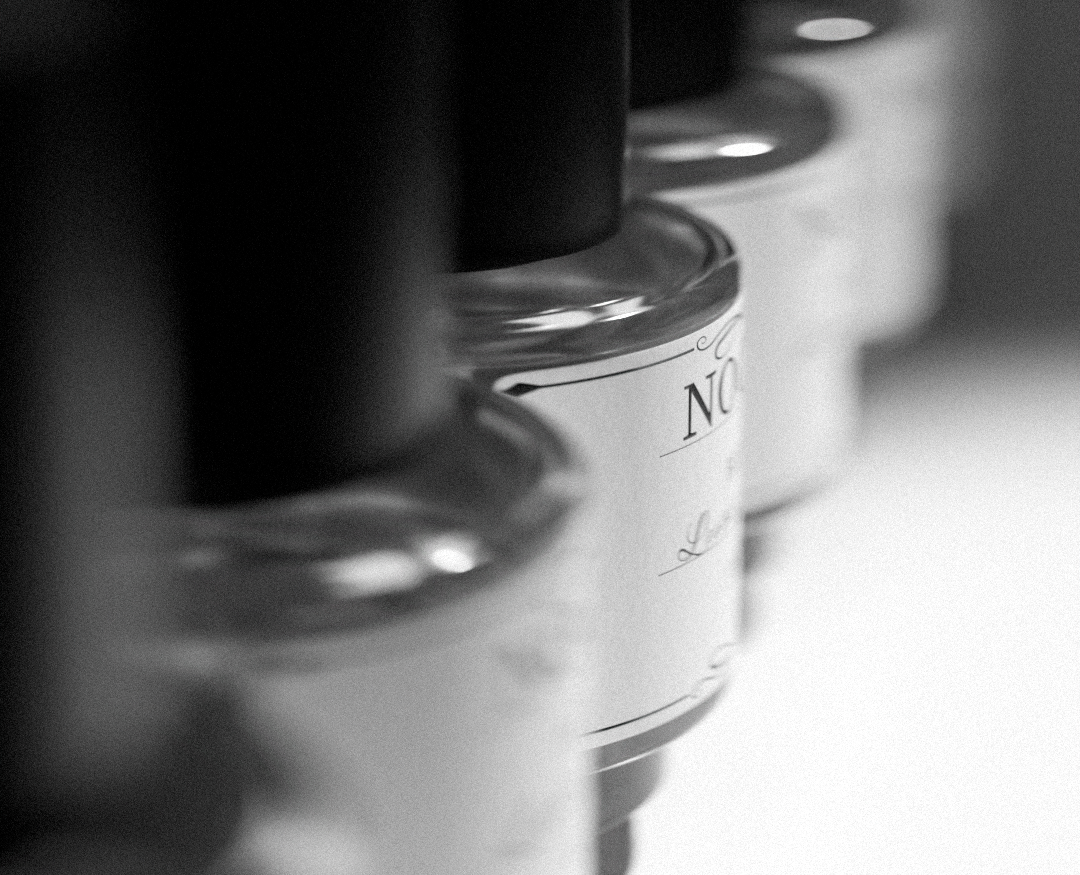 NOCTRAL — 3D на Dprofile