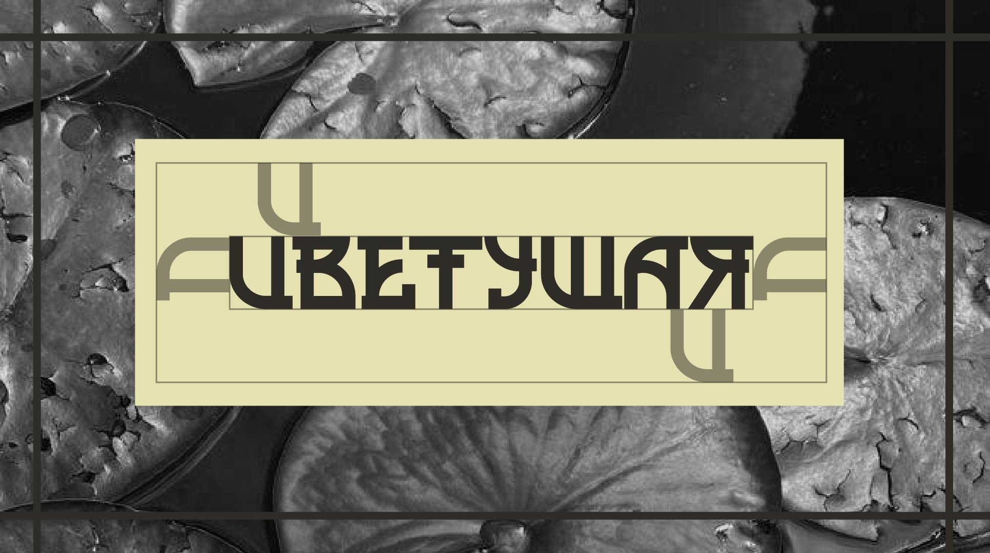 ЦВЕТУЩАЯ | набор для ухода за волосами — Изображение №2 — Интерфейсы, Брендинг на Dprofile