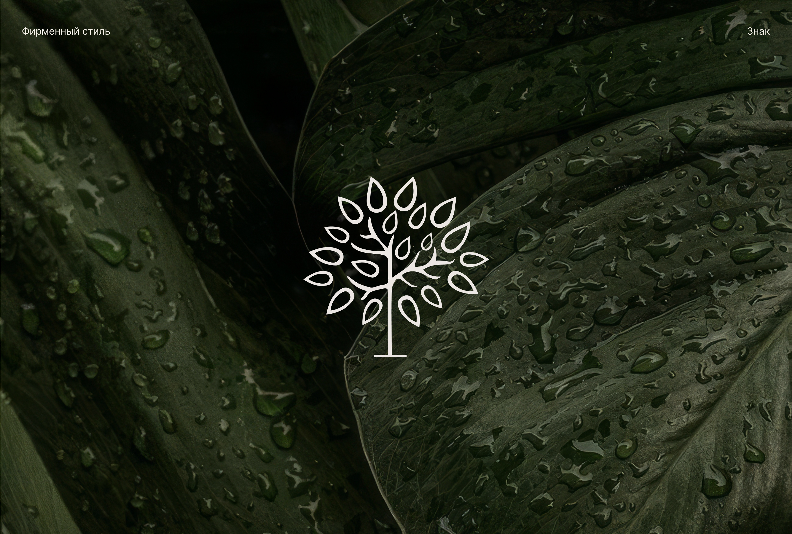 Фирменный стиль для семейного кафе "Счастье" — Изображение №6 — Брендинг на Dprofile