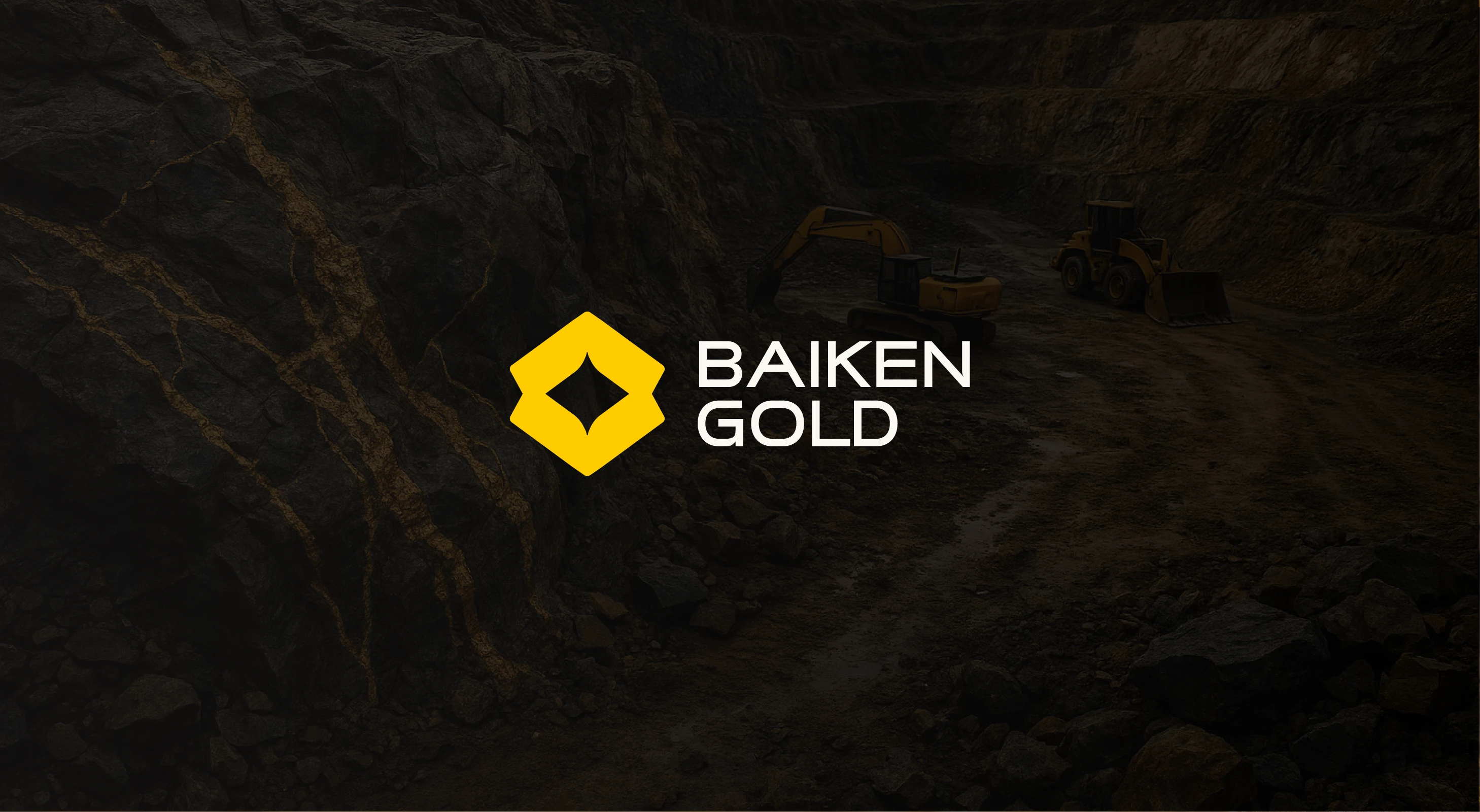 BAIKEN GOLG — Изображение №1 — Брендинг на Dprofile