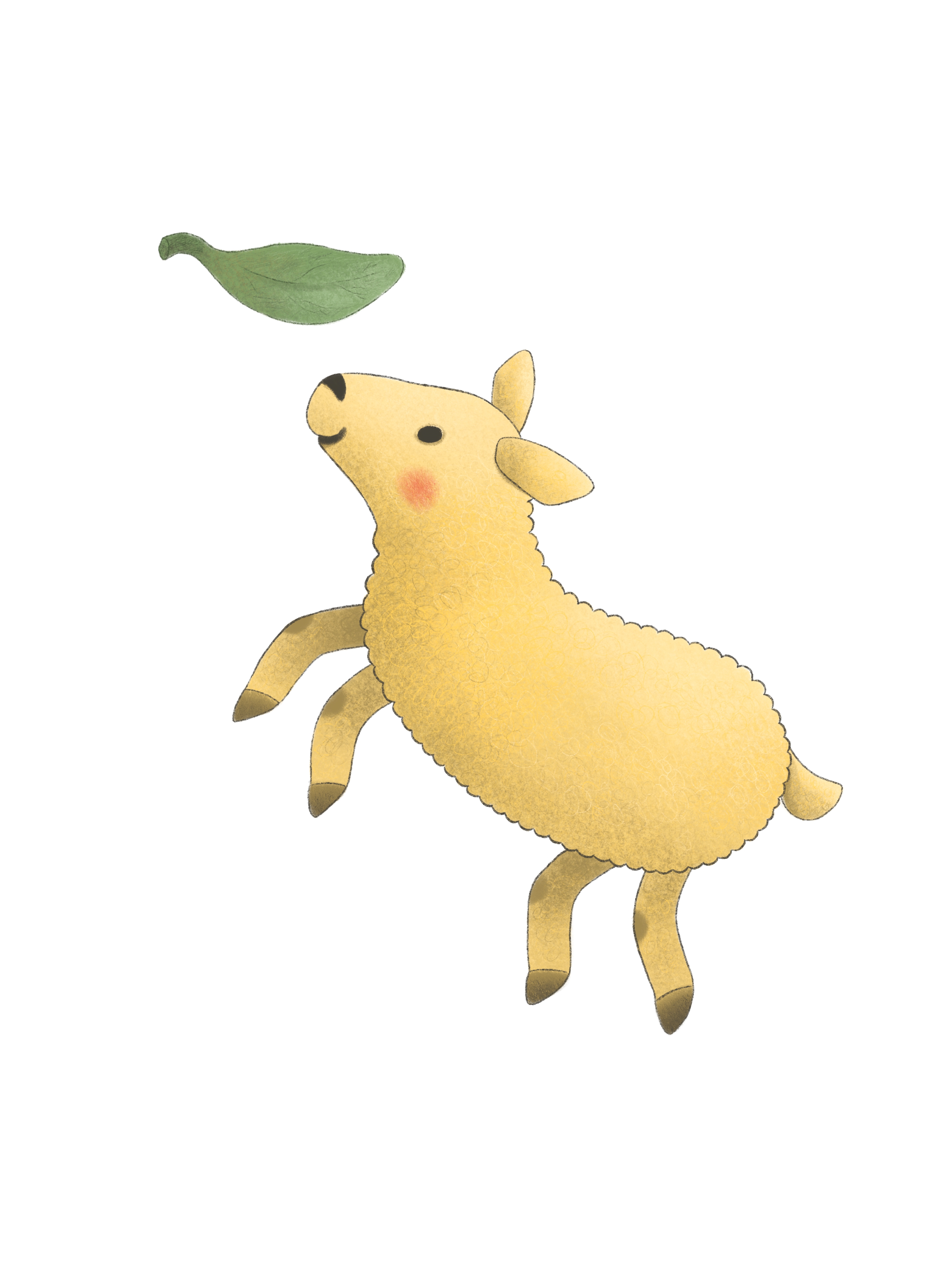 Забавные овечки. Обложка для книги. — Изображение №3 — Брендинг, Иллюстрация на Dprofile