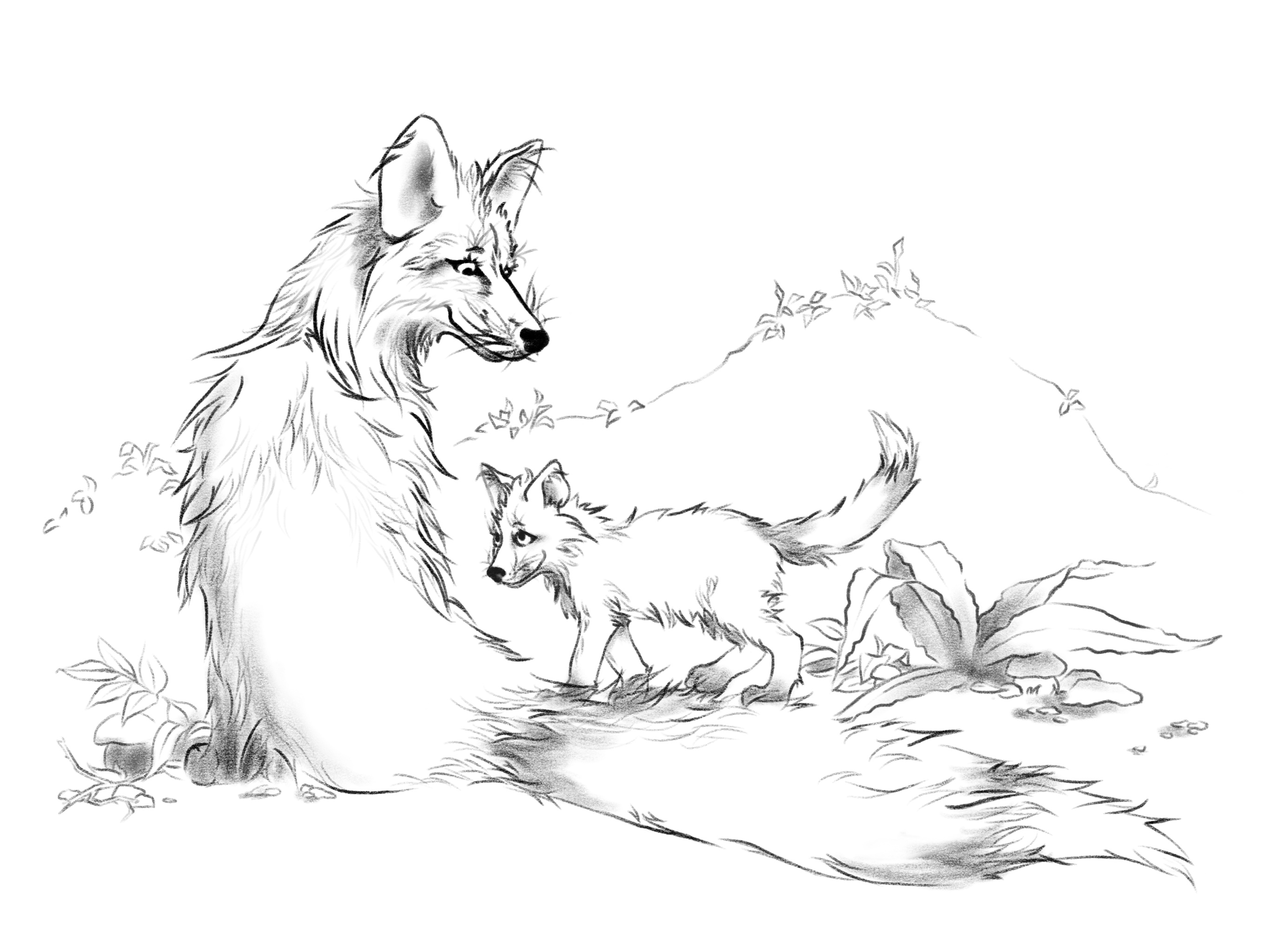 Лисицы в лесу. Животные. — Изображение №4 — Иллюстрация, Графика на Dprofile