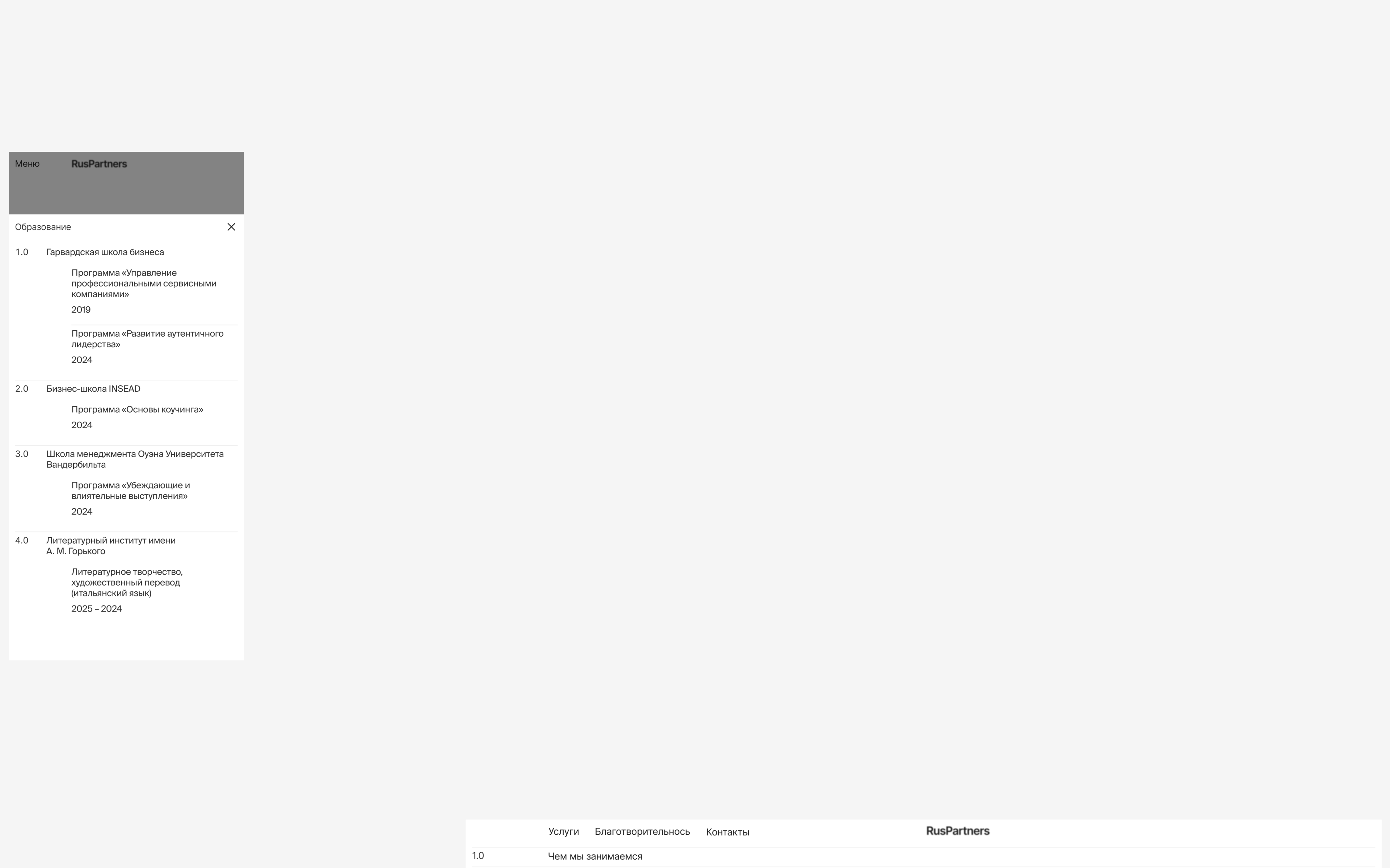 RusPartners — Изображение №6 — Интерфейсы, Брендинг на Dprofile