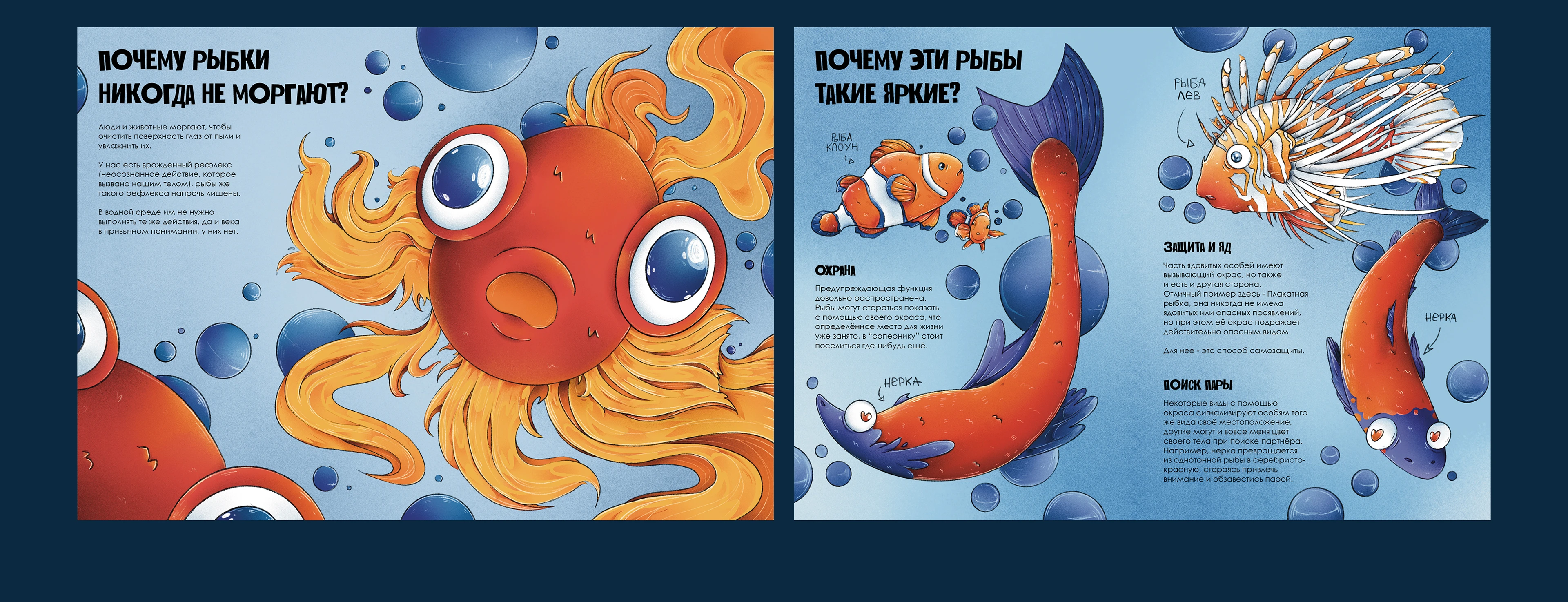 КНИЖКА-НОНФИК + РЫБНЫЙ МЕРЧ — Изображение №10 — Брендинг, Иллюстрация на Dprofile
