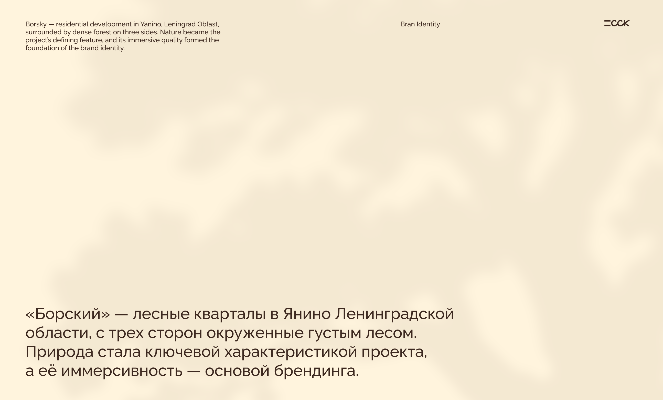 Борский — Изображение №2 — Брендинг на Dprofile