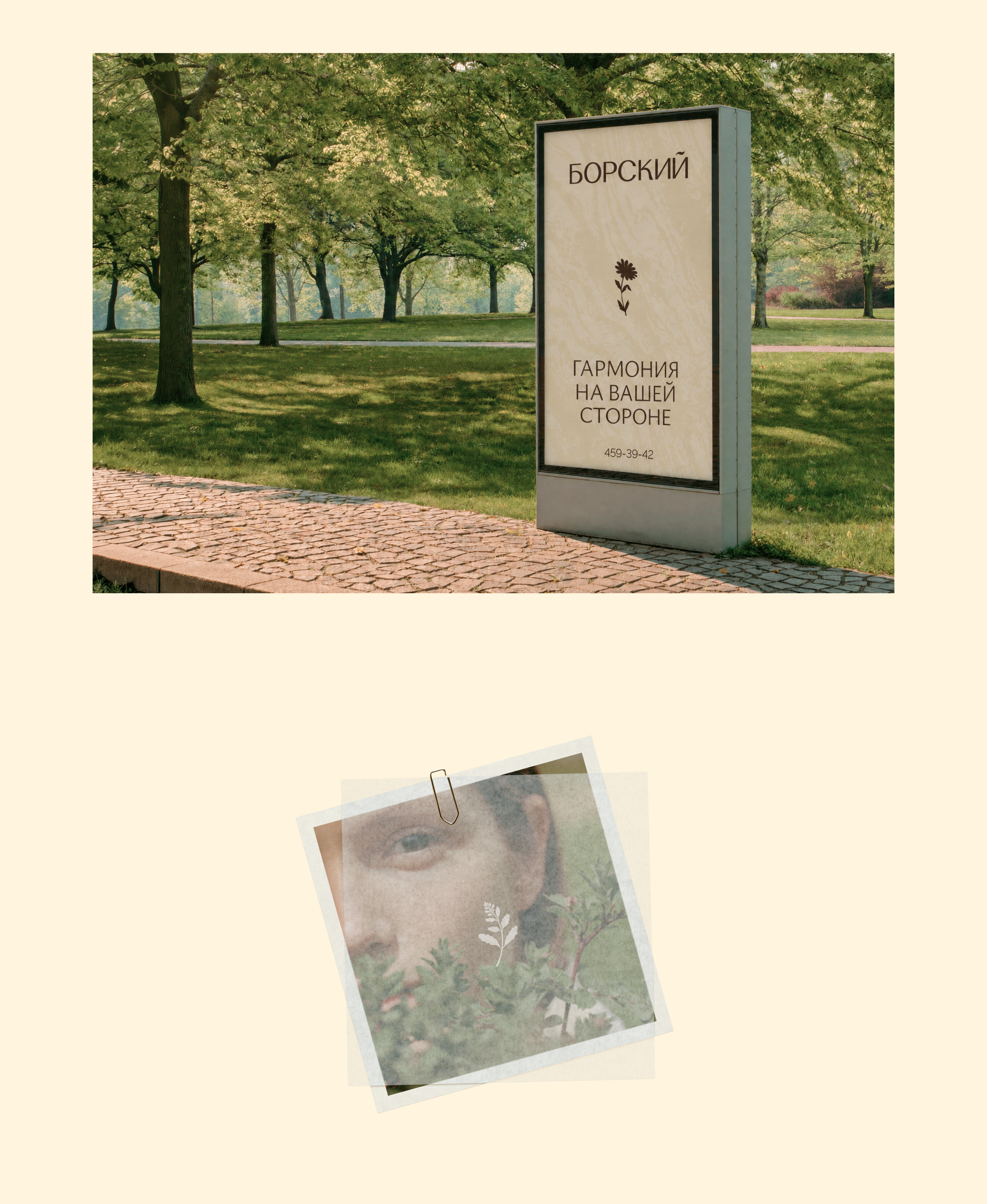 Борский — Изображение №13 — Брендинг на Dprofile