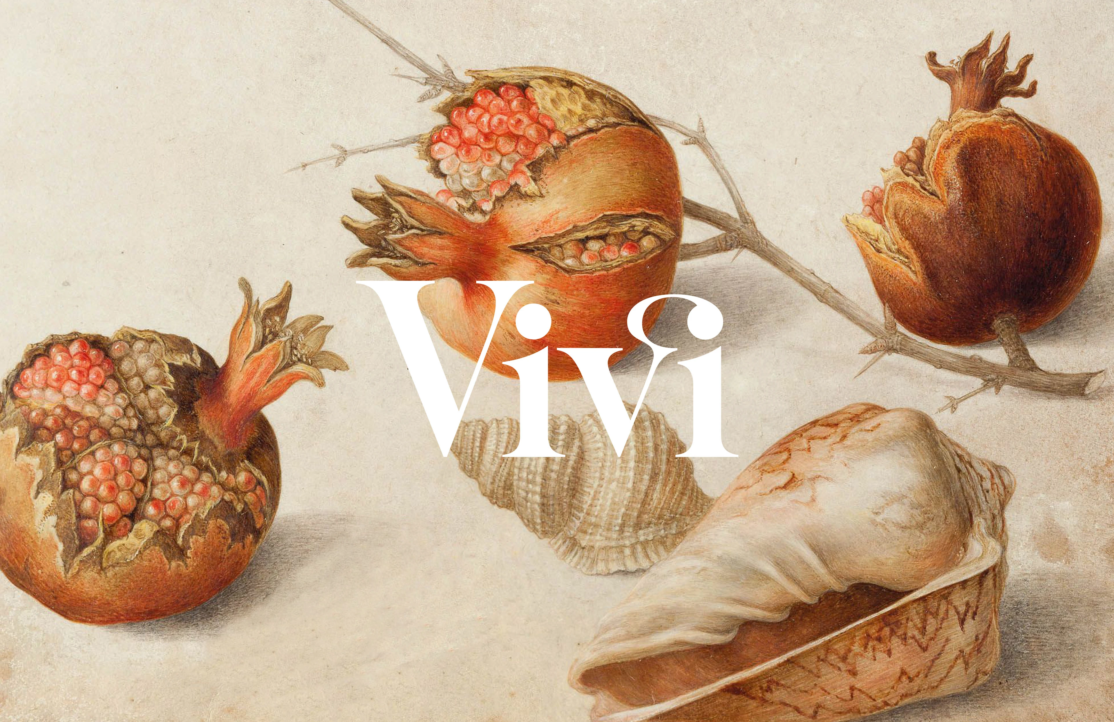 Vivi — Изображение №1 — Брендинг на Dprofile