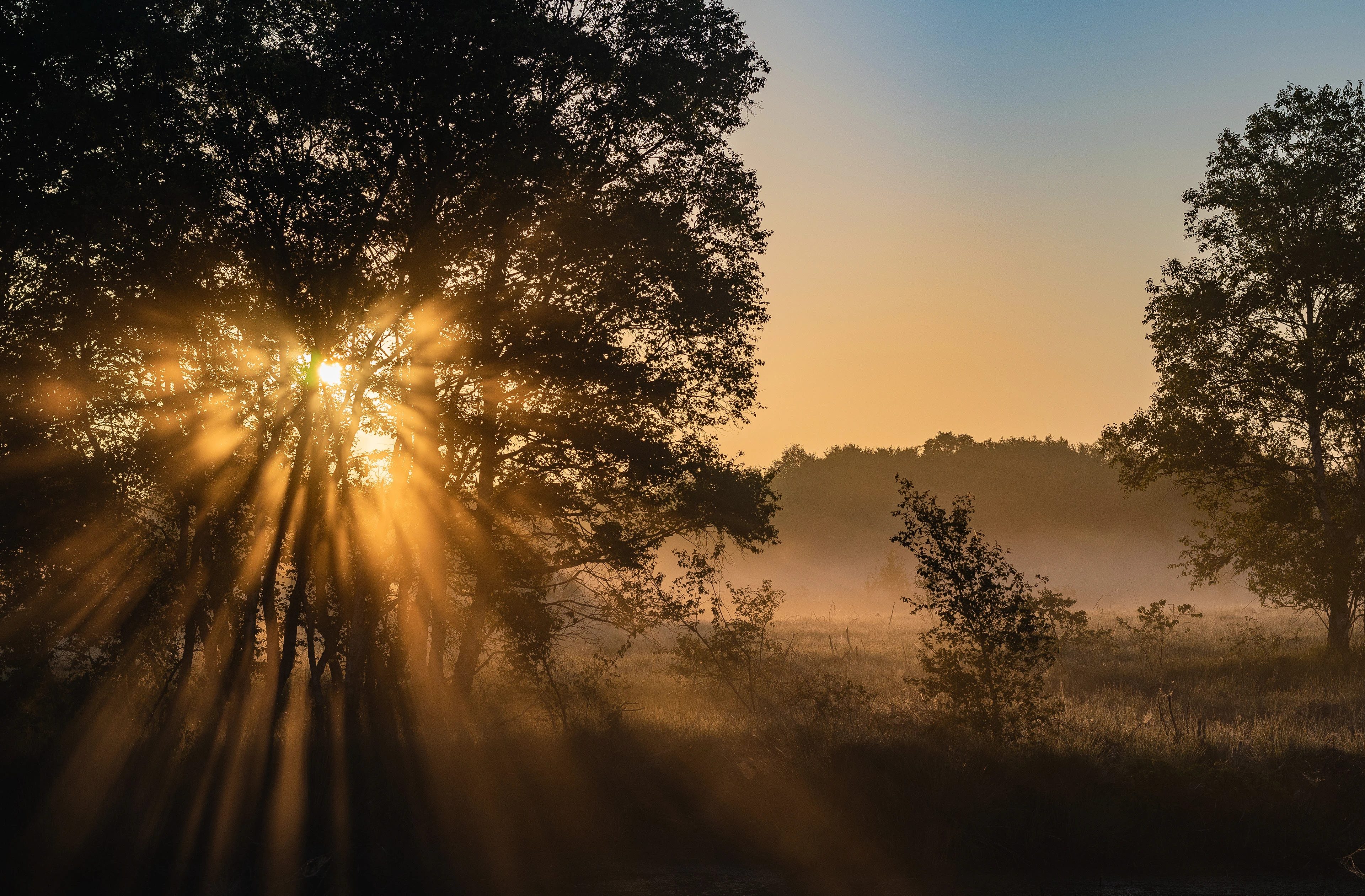 Ресторан русской кухни «Помещик» — Изображение №2 — Брендинг на Dprofile