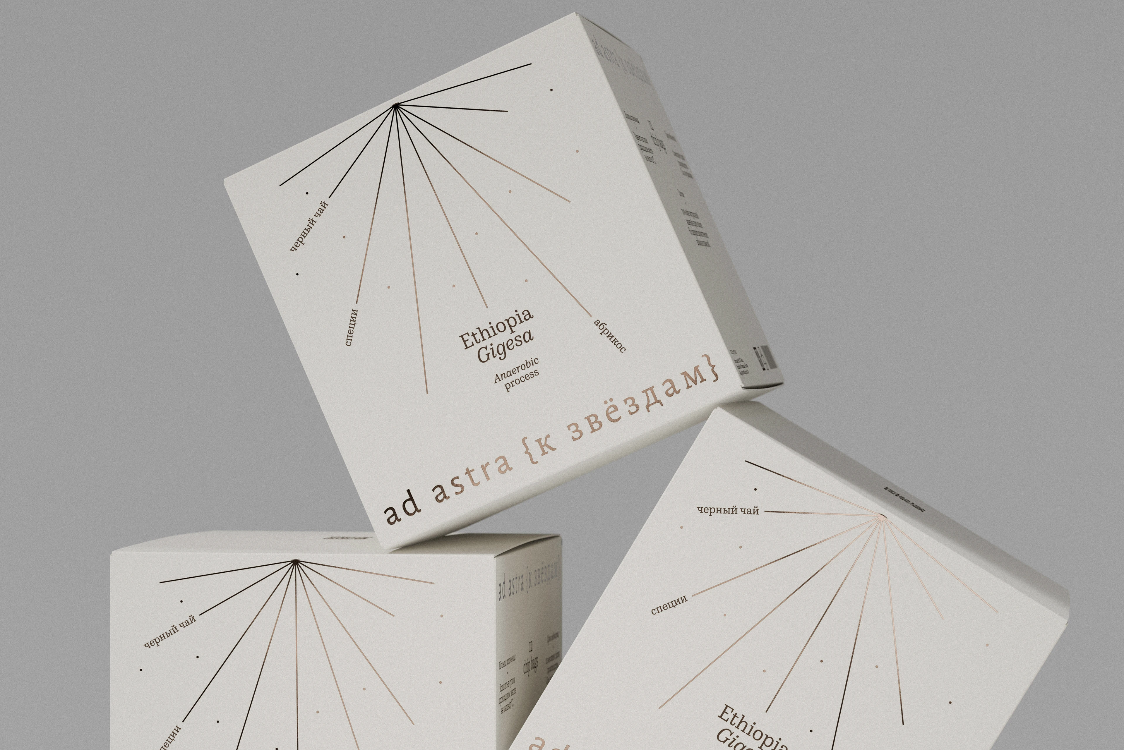 ad astra {к звёздам} — Изображение №12 — Брендинг на Dprofile