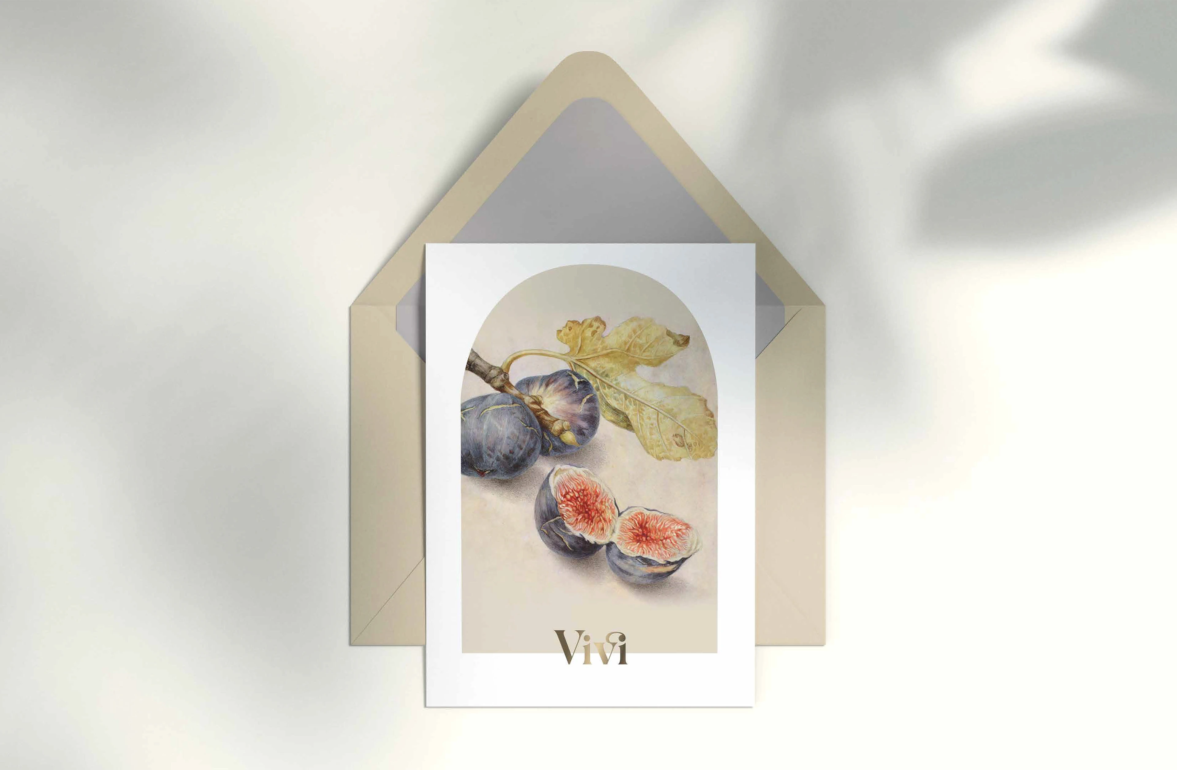 Vivi — Изображение №10 — Брендинг на Dprofile