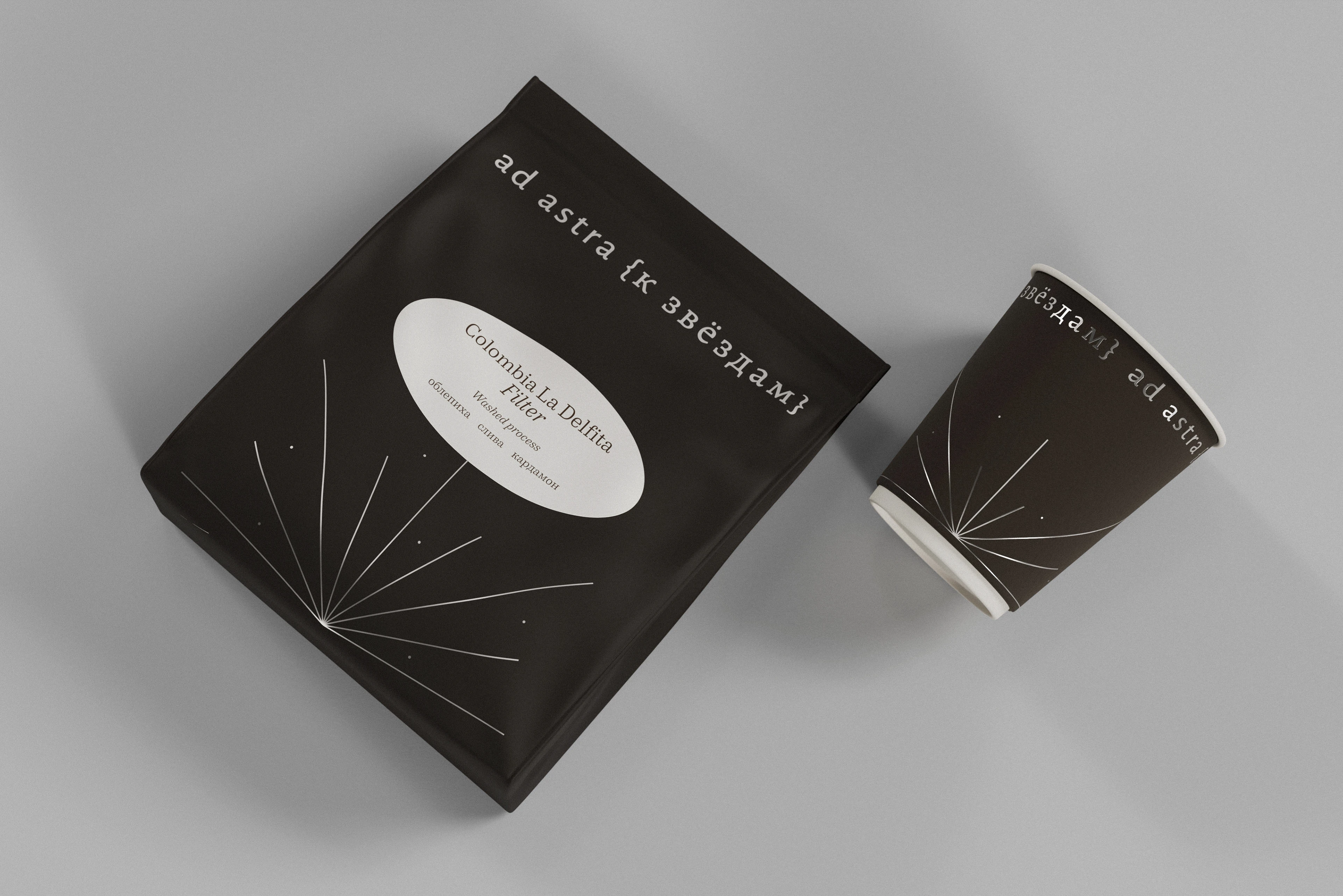 ad astra {к звёздам} — Изображение №18 — Брендинг на Dprofile