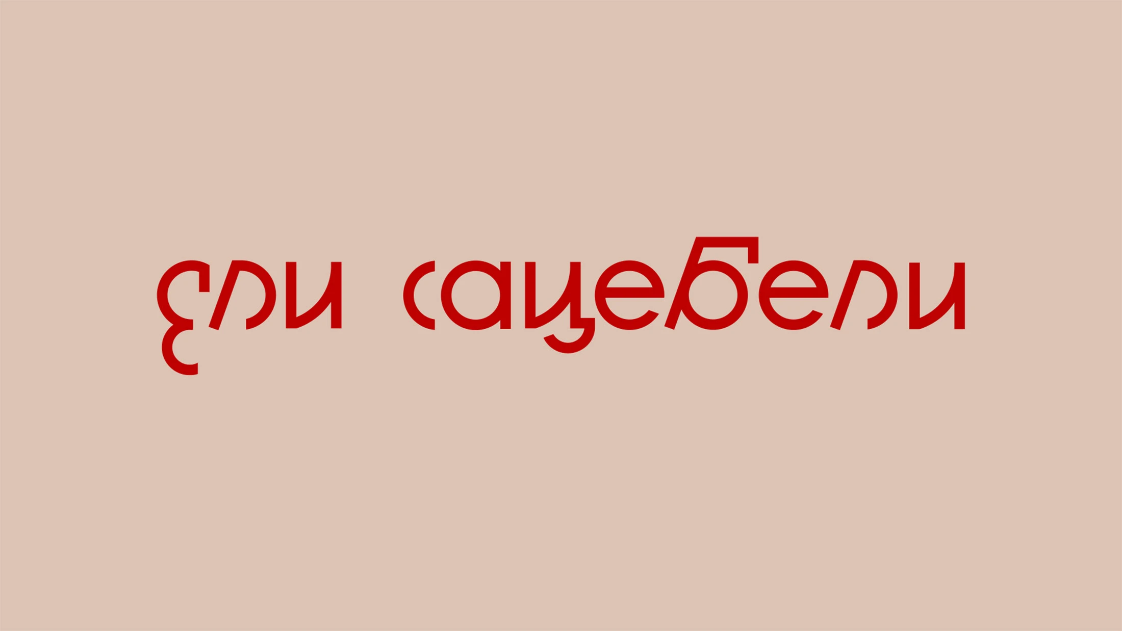 Ели Сацебели — Изображение №1 — Брендинг на Dprofile