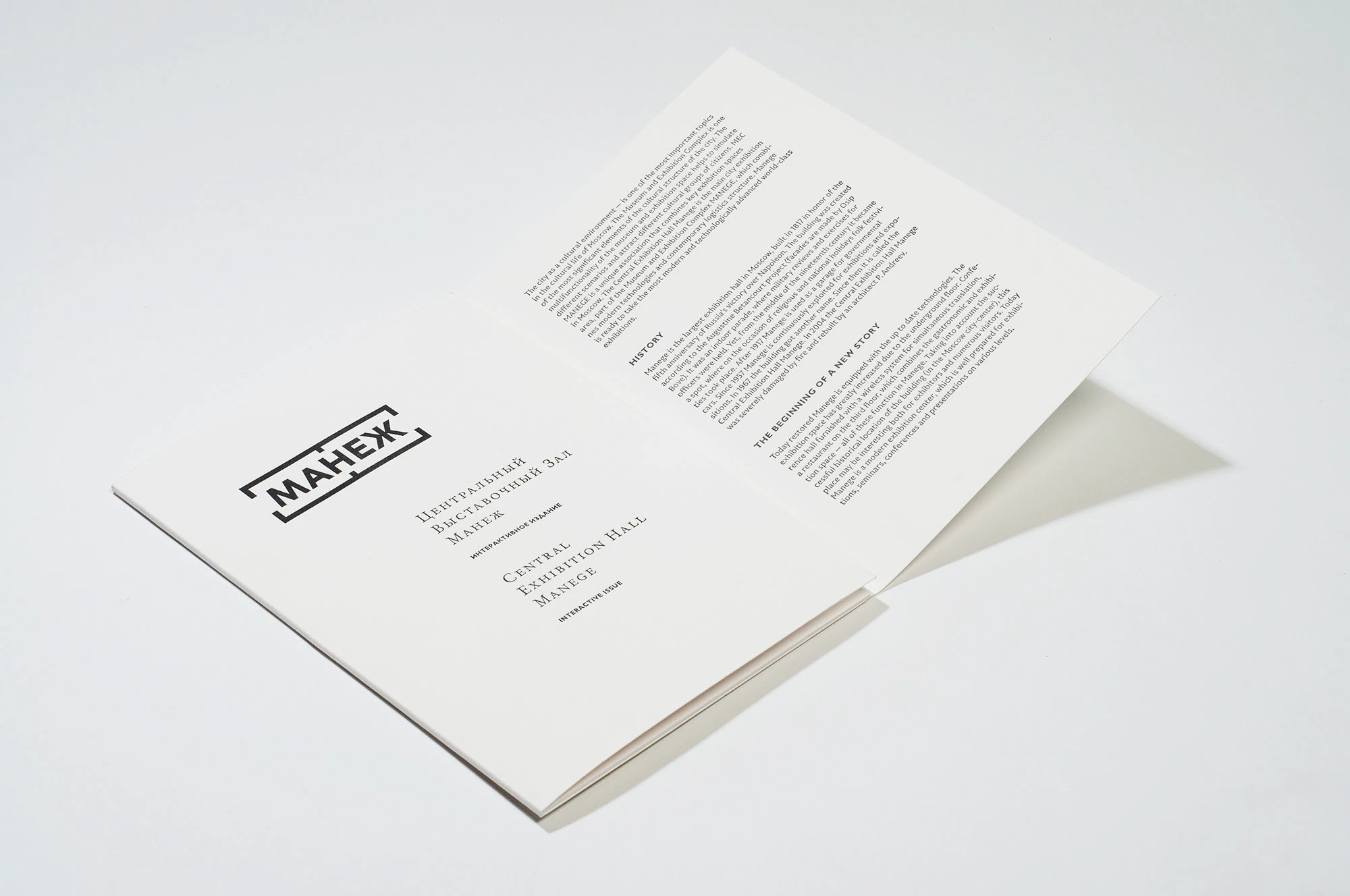 Information Issue — Central Exhibition Hall Manege — Изображение №11 — Графика на Dprofile