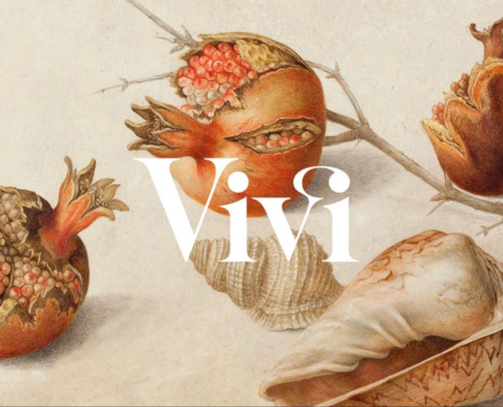 Vivi — Брендинг на Dprofile