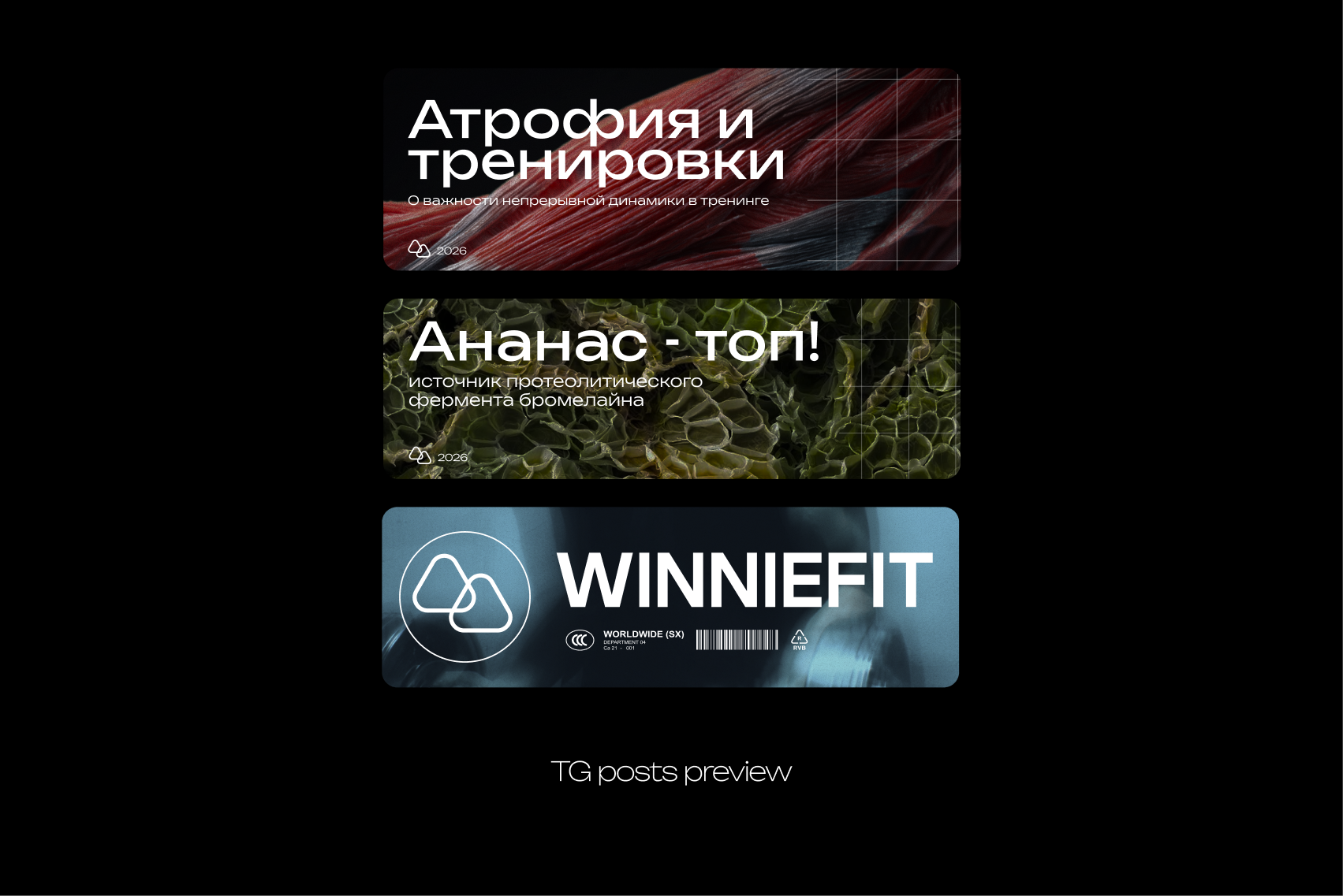 WINNIEFIT: Доказательный фитнес-тренер — Изображение №5 — Брендинг на Dprofile