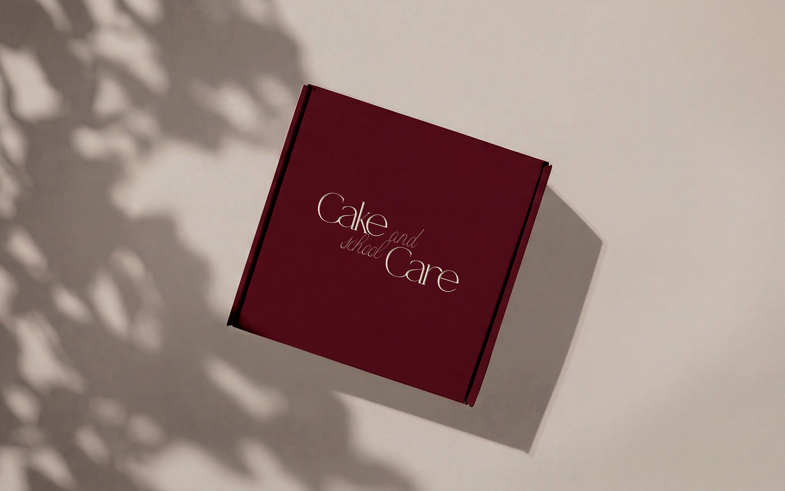 Cake&Care School — Изображение №1 — Брендинг, Графика на Dprofile