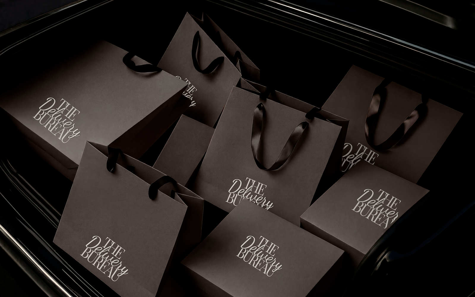 The Delivery Bureau — Изображение №1 — Брендинг, Графика на Dprofile