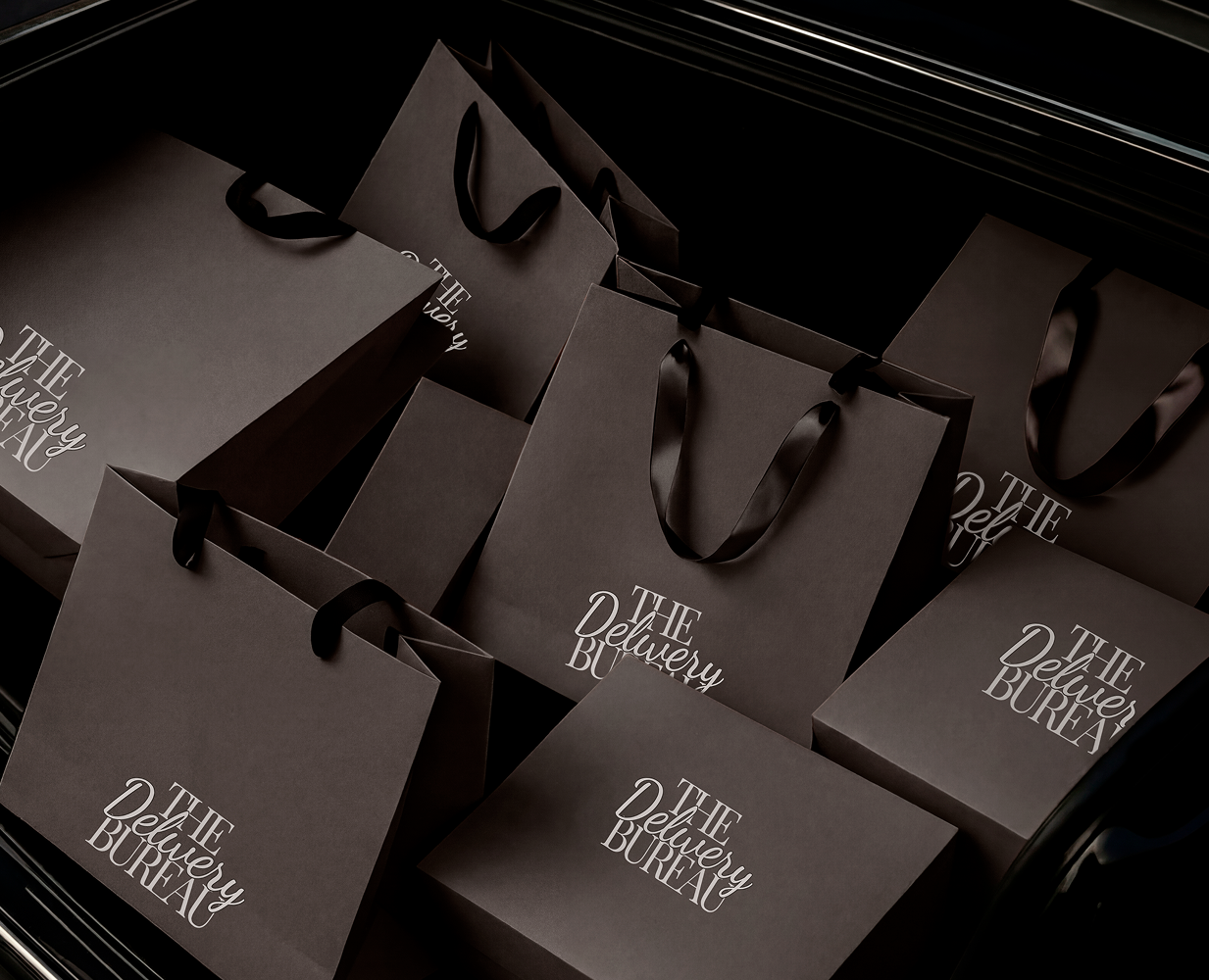 The Delivery Bureau — Брендинг, Графика на Dprofile