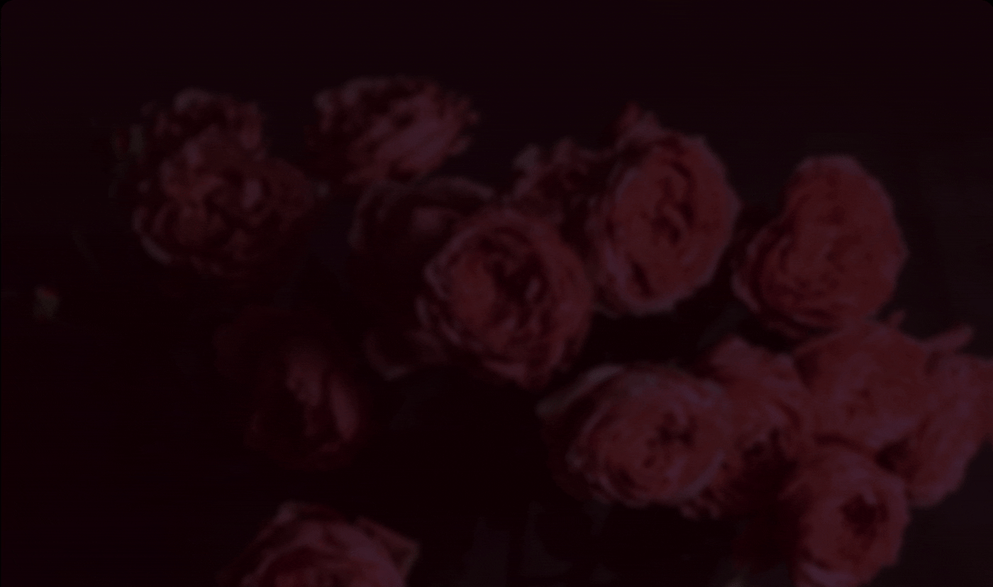 Интернет - магазин цветов — Изображение №1 — Интерфейсы на Dprofile