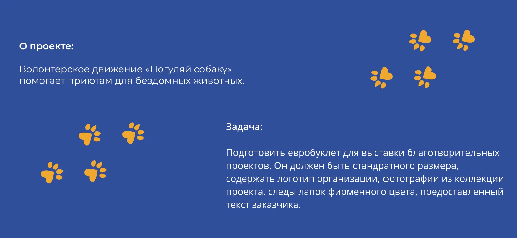 Евробуклет для волонтерского движения «Погуляй собаку» — Изображение №2 — Графика на Dprofile