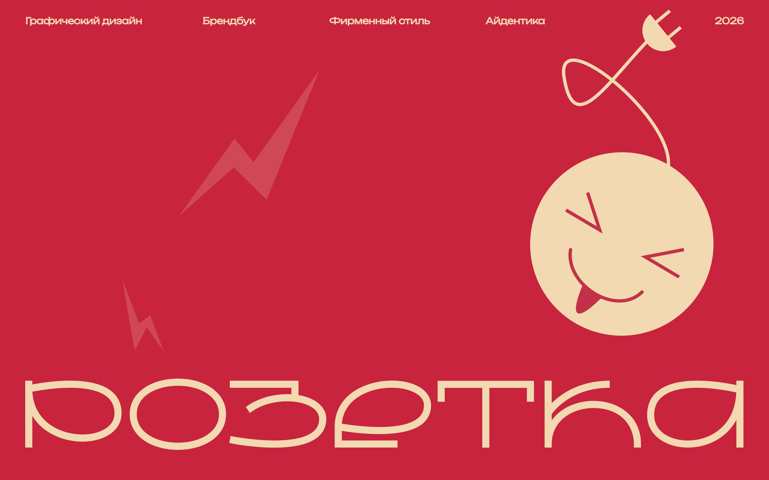 РОЗЕТКА | Айдентика — Изображение №1 — Брендинг на Dprofile
