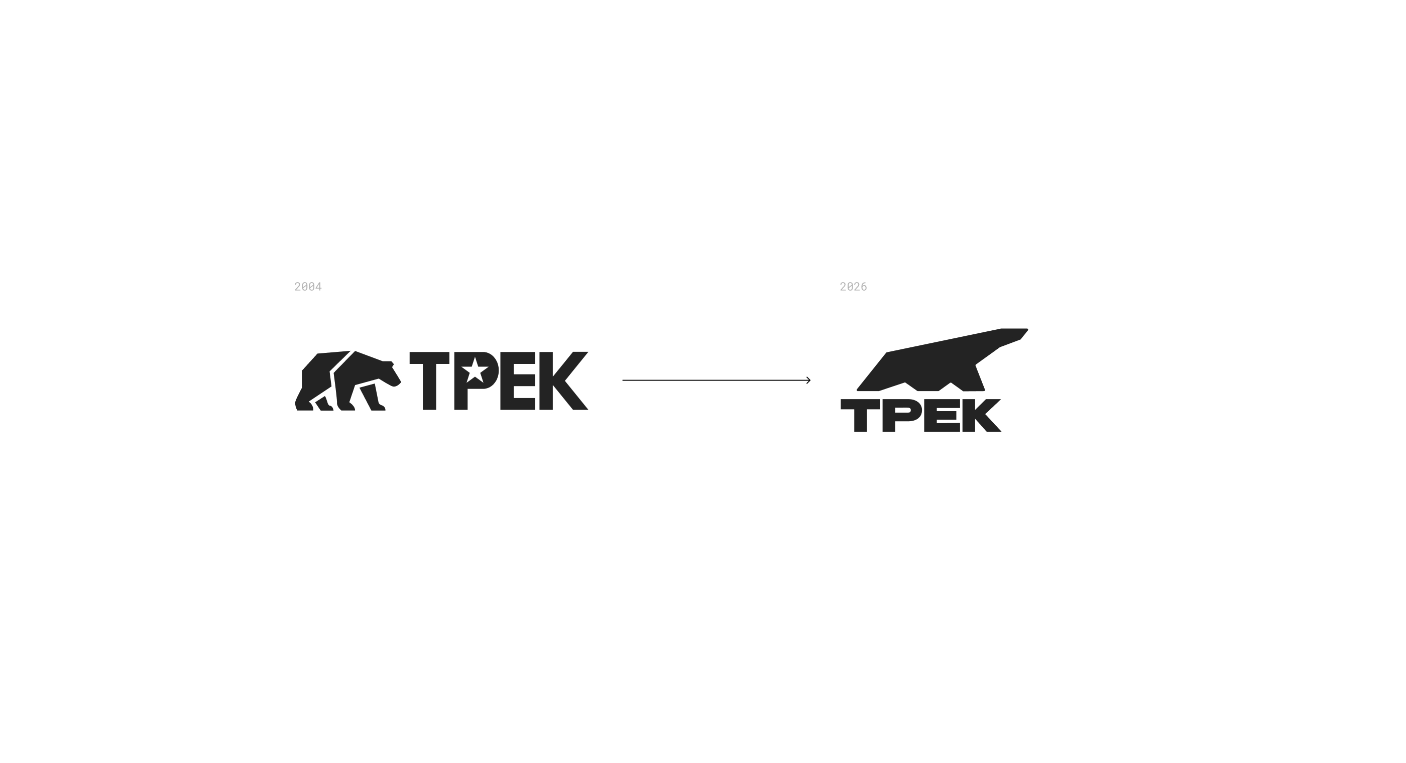 Фирменный стиль ТРЕК — Изображение №4 — Брендинг на Dprofile