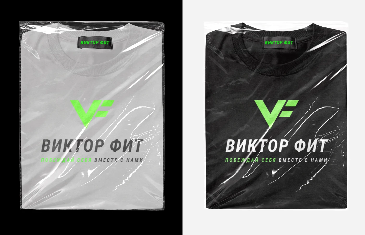 Ребрендинг | Логобук | Веб-сайт | Виктор Фит — Изображение №7 — Интерфейсы, Брендинг на Dprofile