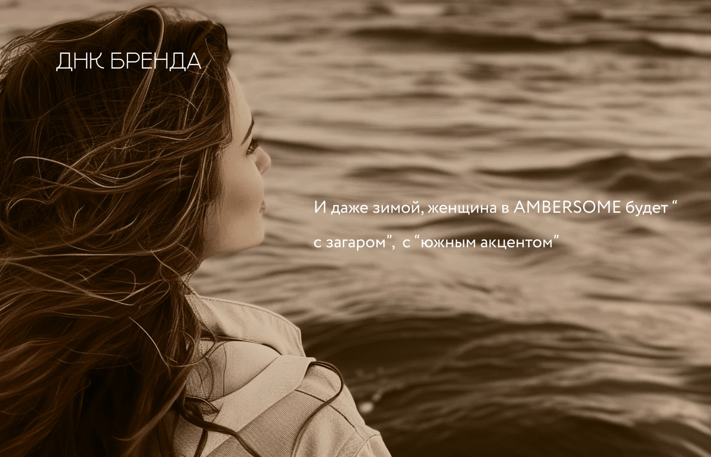 Логотип | Логобук | AMBERSOME — Изображение №6 — Интерфейсы, Брендинг на Dprofile