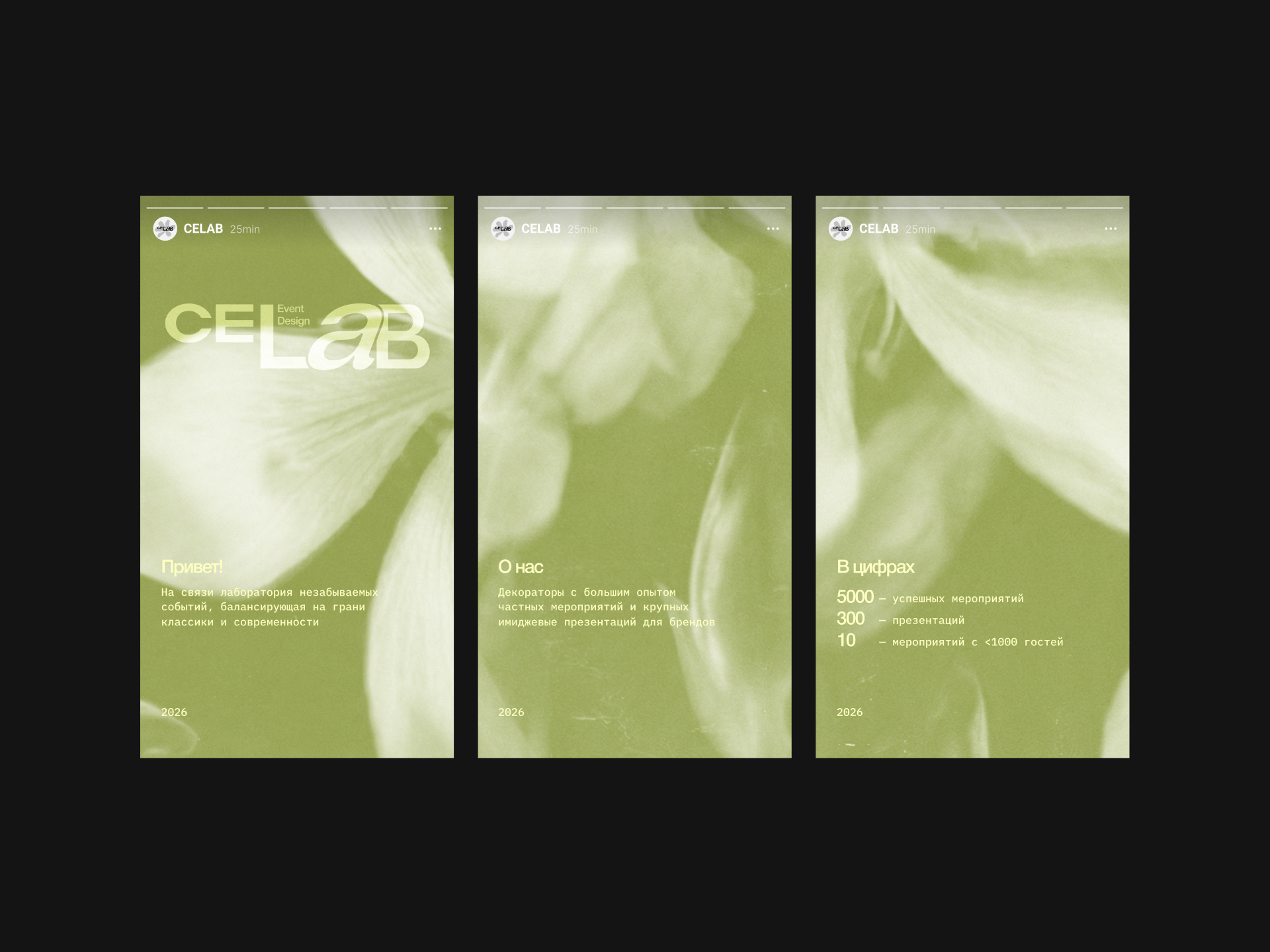 Брендинг для студии декора | айдентика для бренда — Изображение №7 — Брендинг, Графика на Dprofile