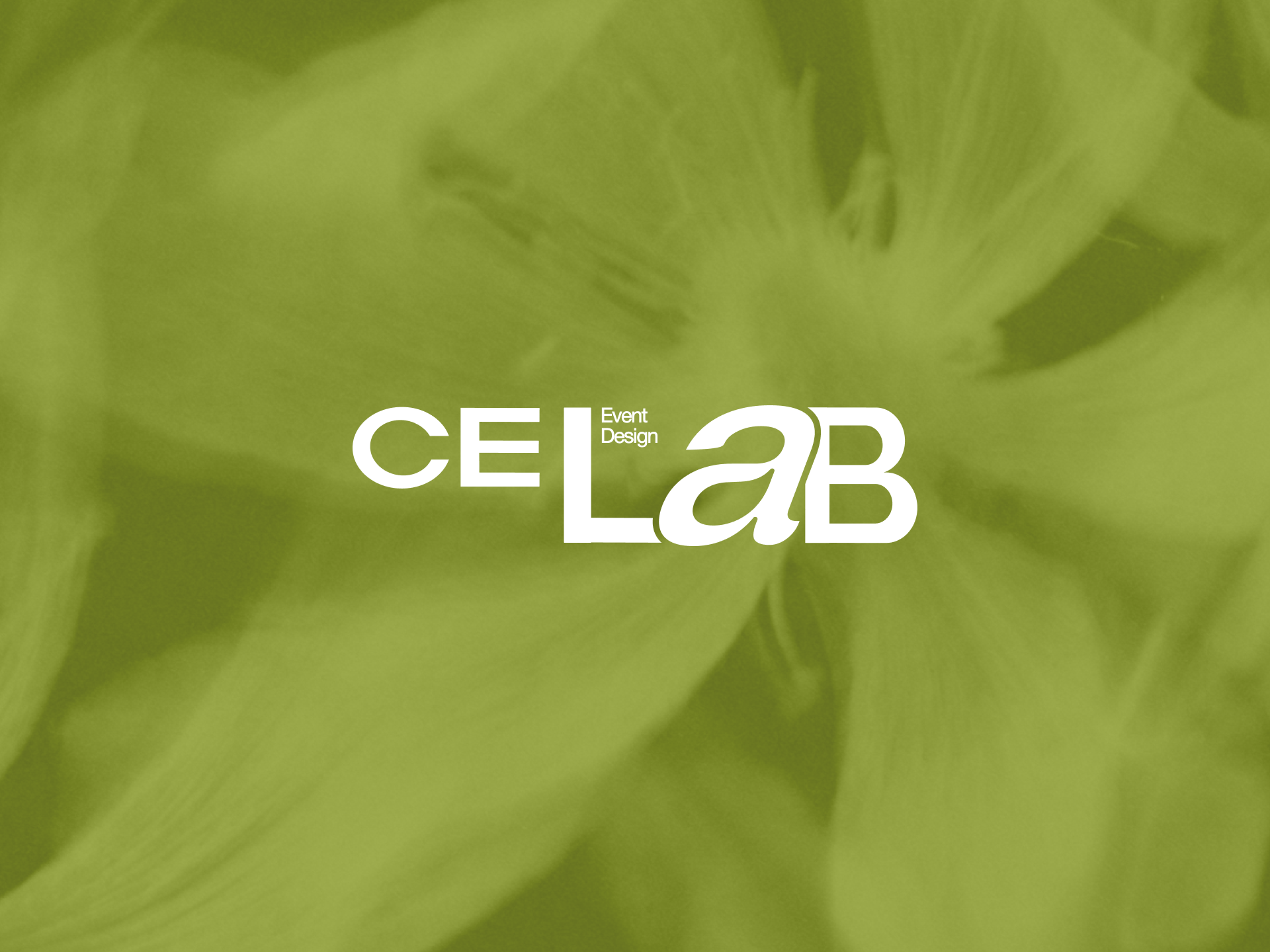 Брендинг для студии декора | айдентика для бренда — Изображение №1 — Брендинг, Графика на Dprofile