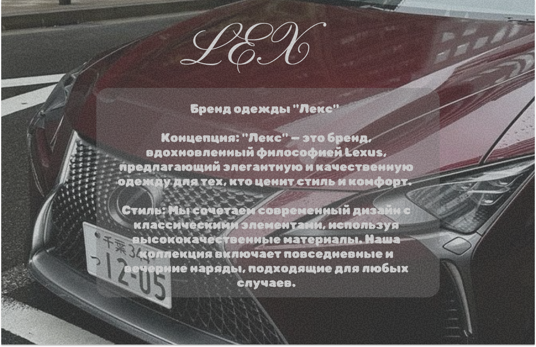 Разработка фирменного стиля магазина одежды — Изображение №2 — Брендинг на Dprofile