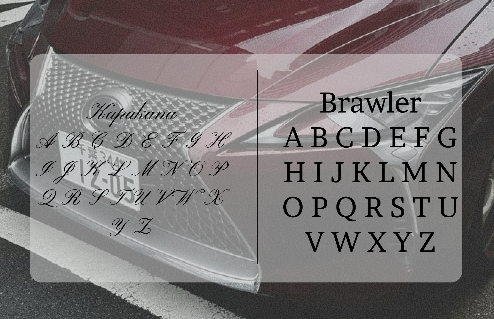 Разработка фирменного стиля магазина одежды — Изображение №5 — Брендинг на Dprofile