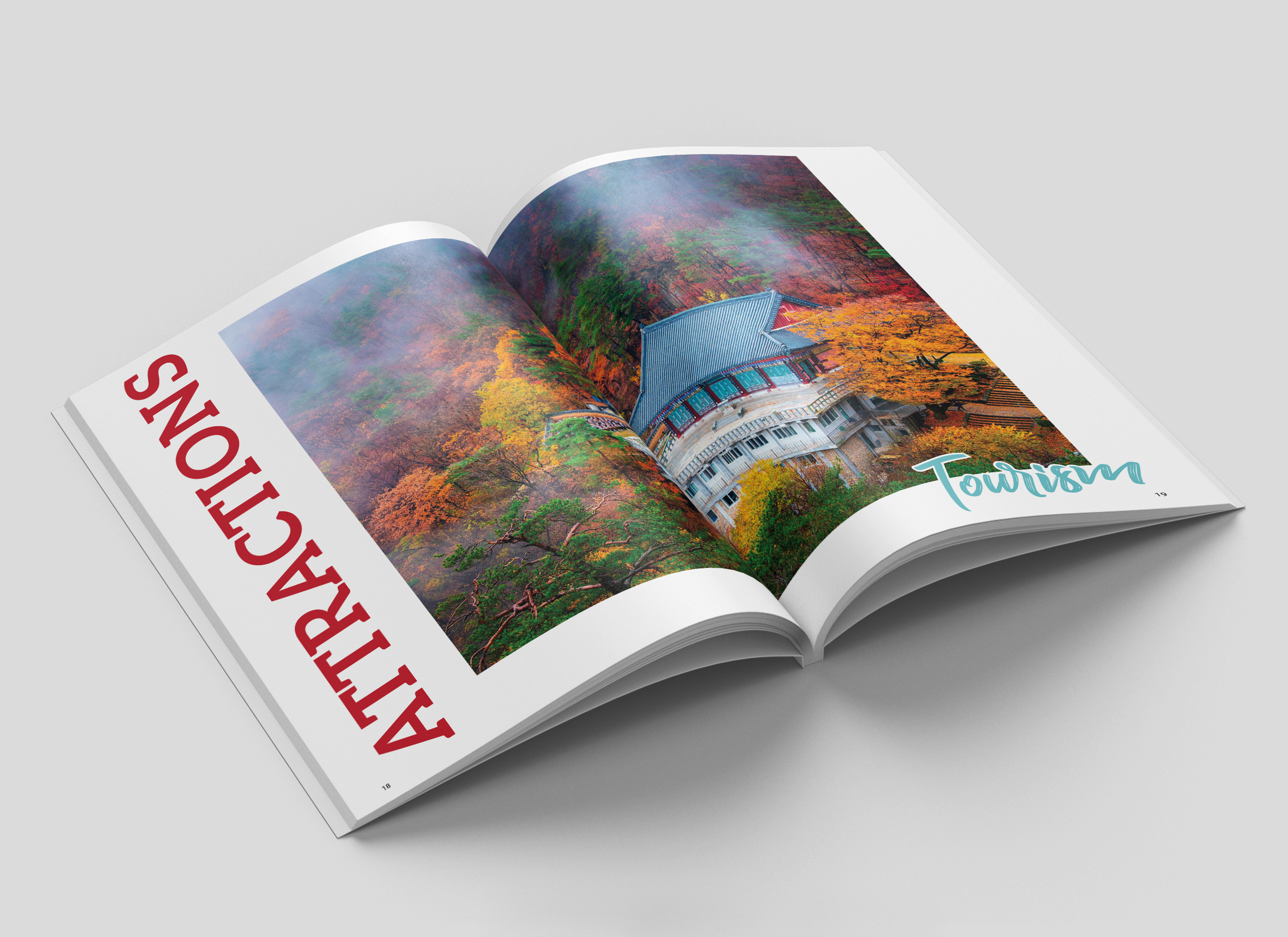 Журнал о Южной Корее «DREAM» — Изображение №2 — Графика на Dprofile