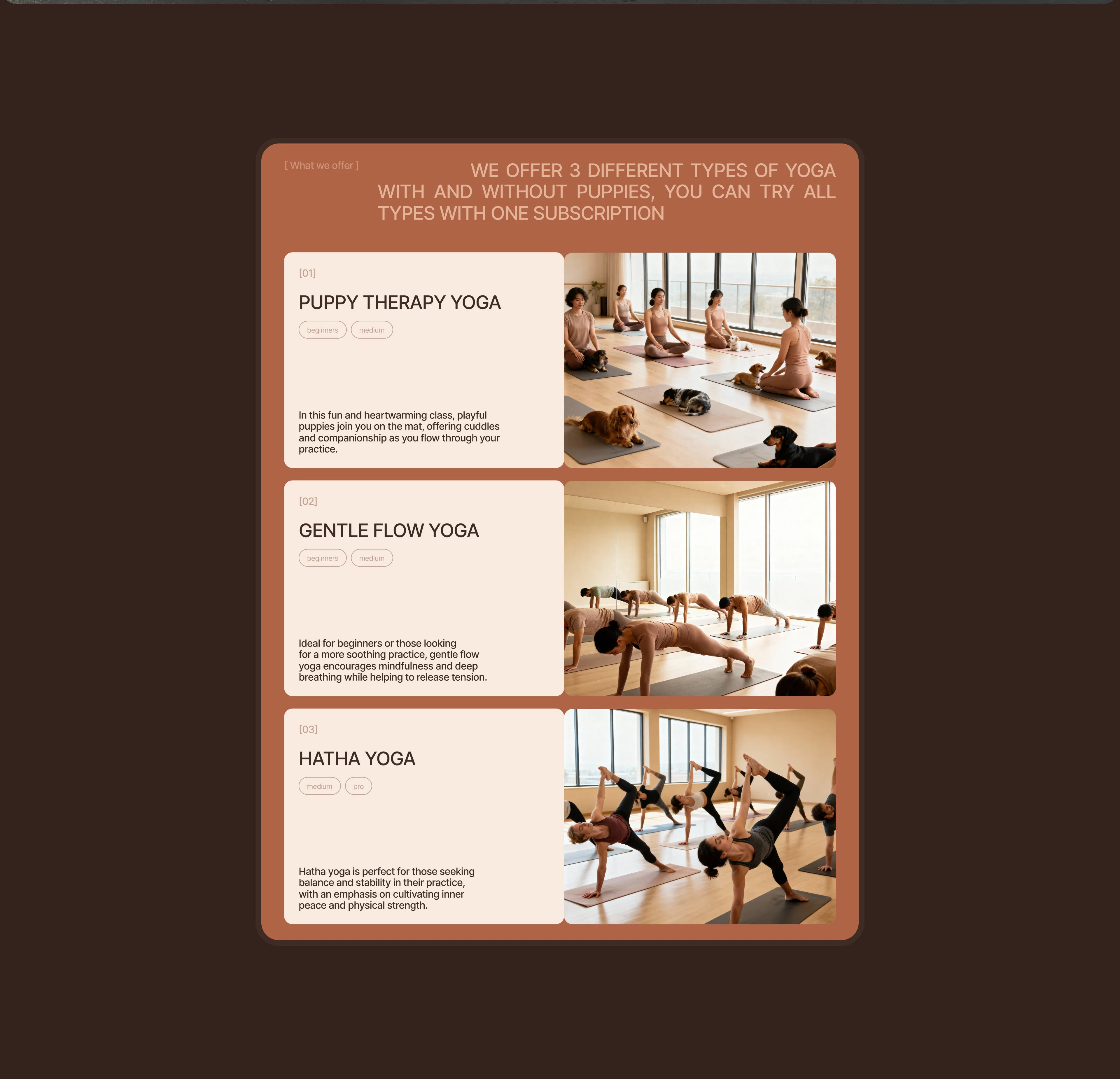 Landing page | Puppy yoga — Изображение №7 — Интерфейсы, Иллюстрация на Dprofile