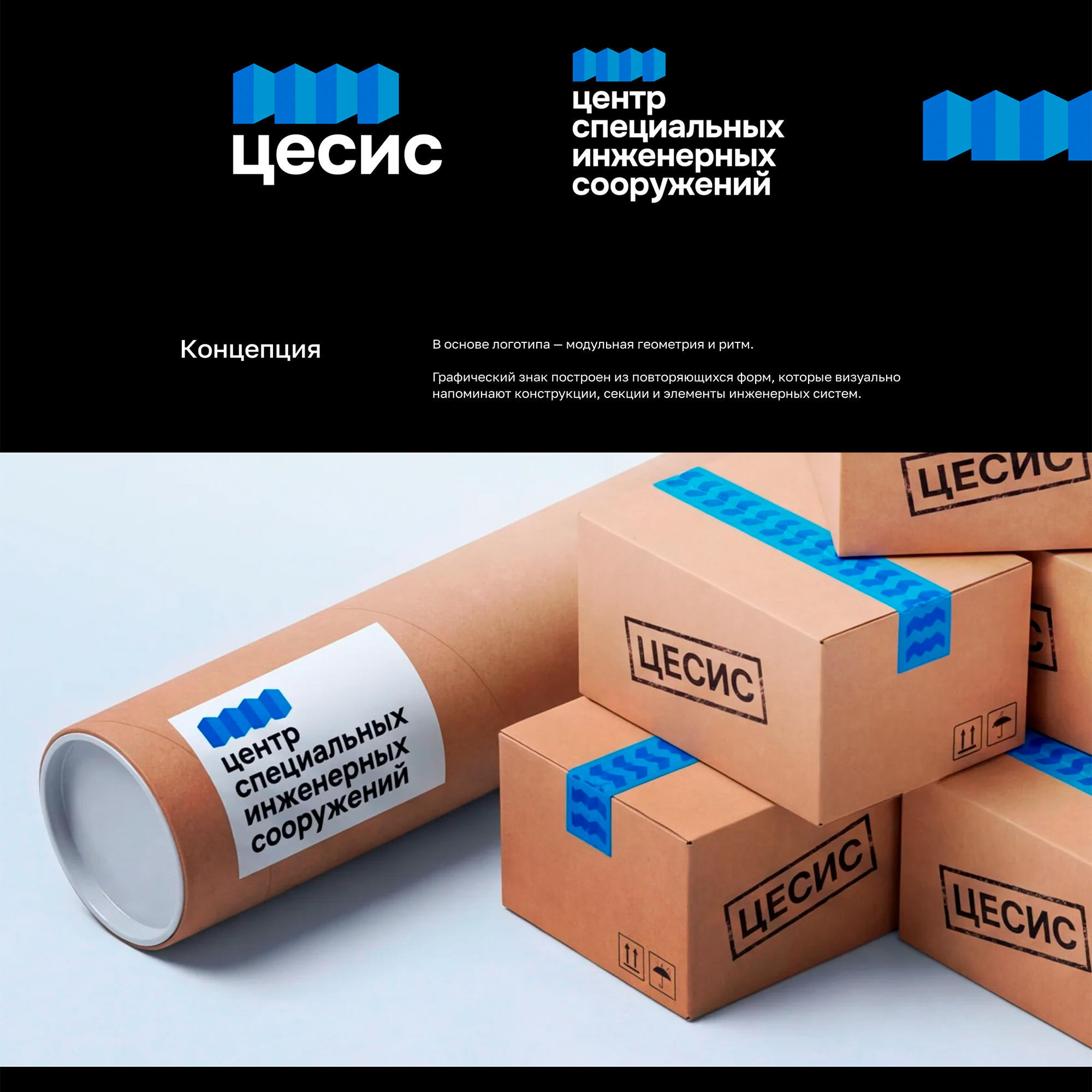 Логотип для компании «ЦеСИС» — Изображение №2 — Брендинг на Dprofile