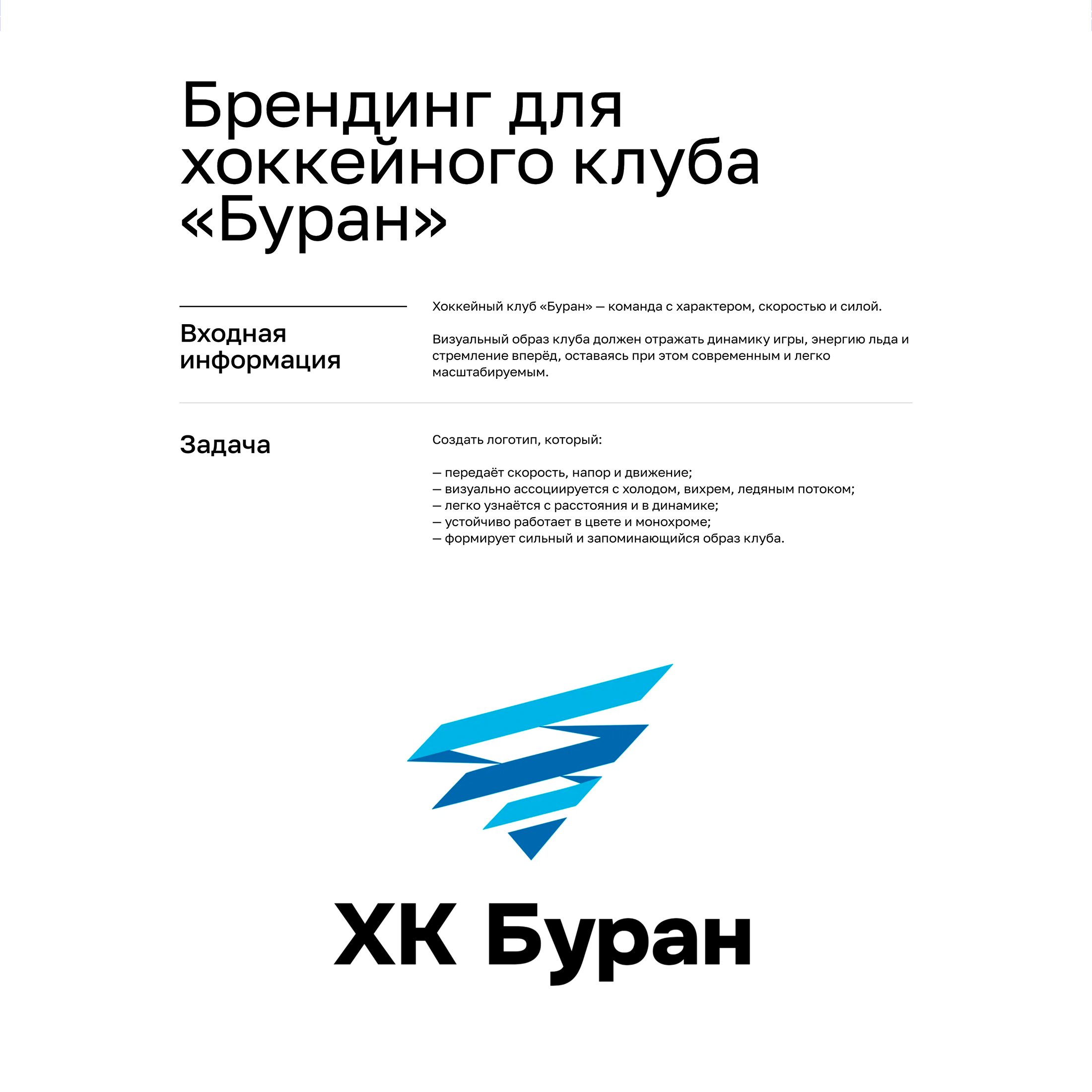 Брендинг для хоккейного клуба «Буран» — Изображение №1 — Брендинг на Dprofile