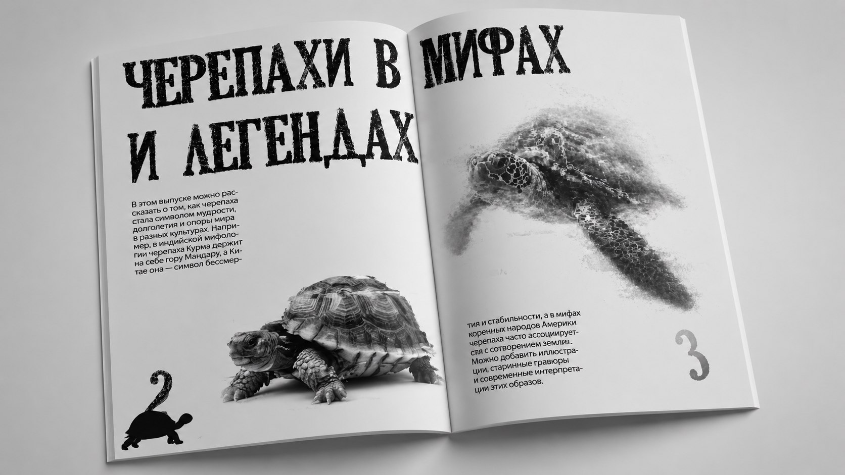 Разработка ЗИНА "От Черепахи к ниндзя" — Изображение №2 — Брендинг на Dprofile