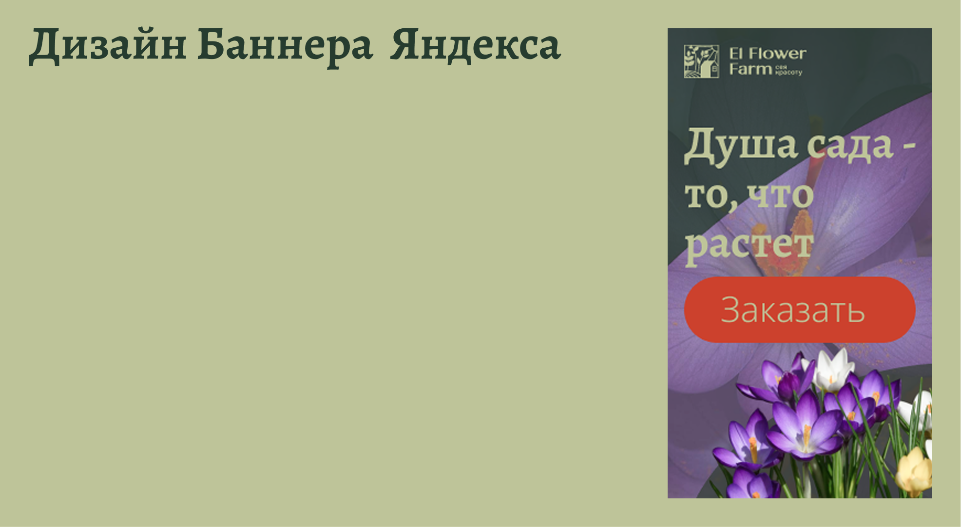 El Flower Farm баннеров для соцсетей и сториса. — Изображение №7 — Брендинг, Маркетинг на Dprofile