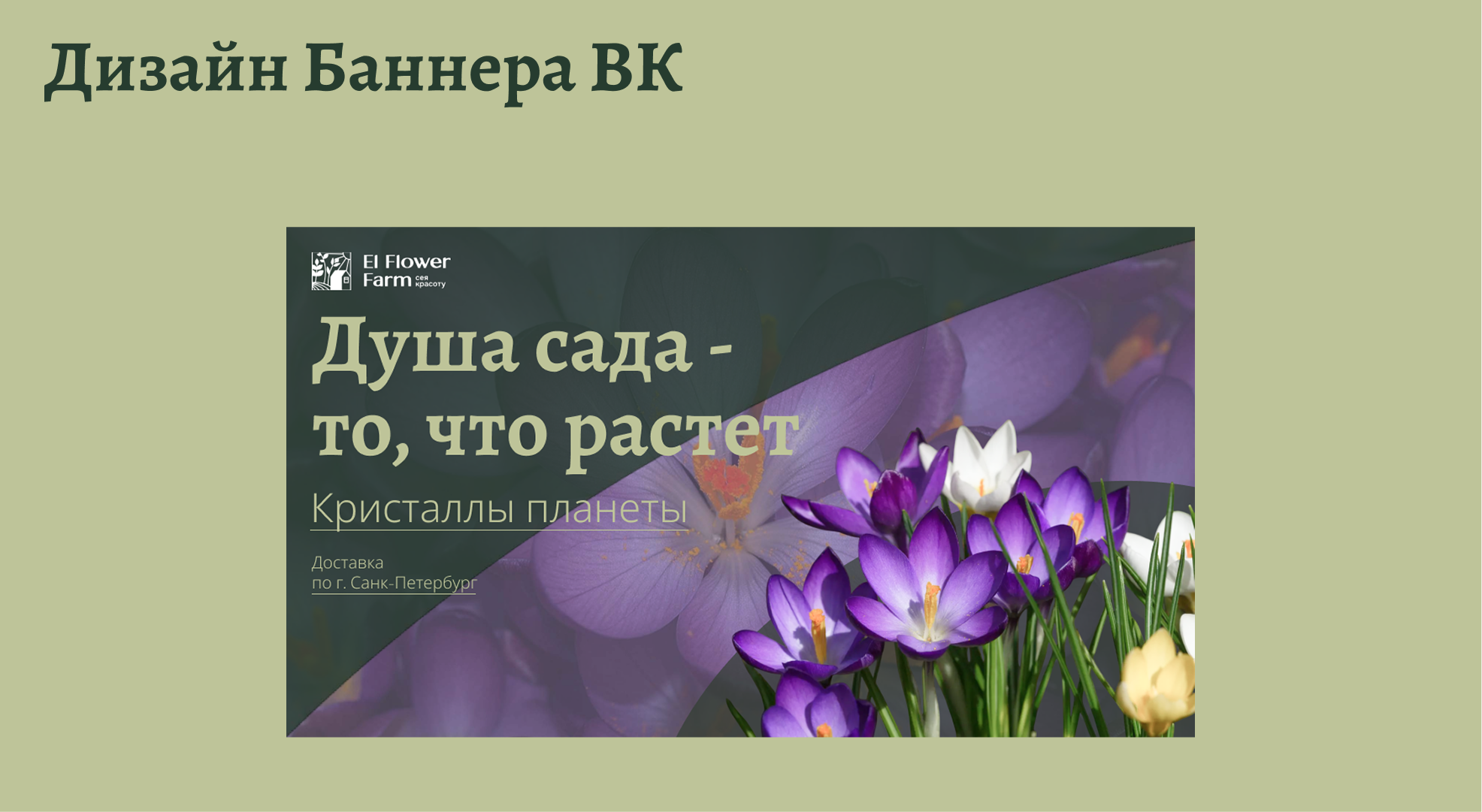 El Flower Farm баннеров для соцсетей и сториса. — Изображение №6 — Брендинг, Маркетинг на Dprofile