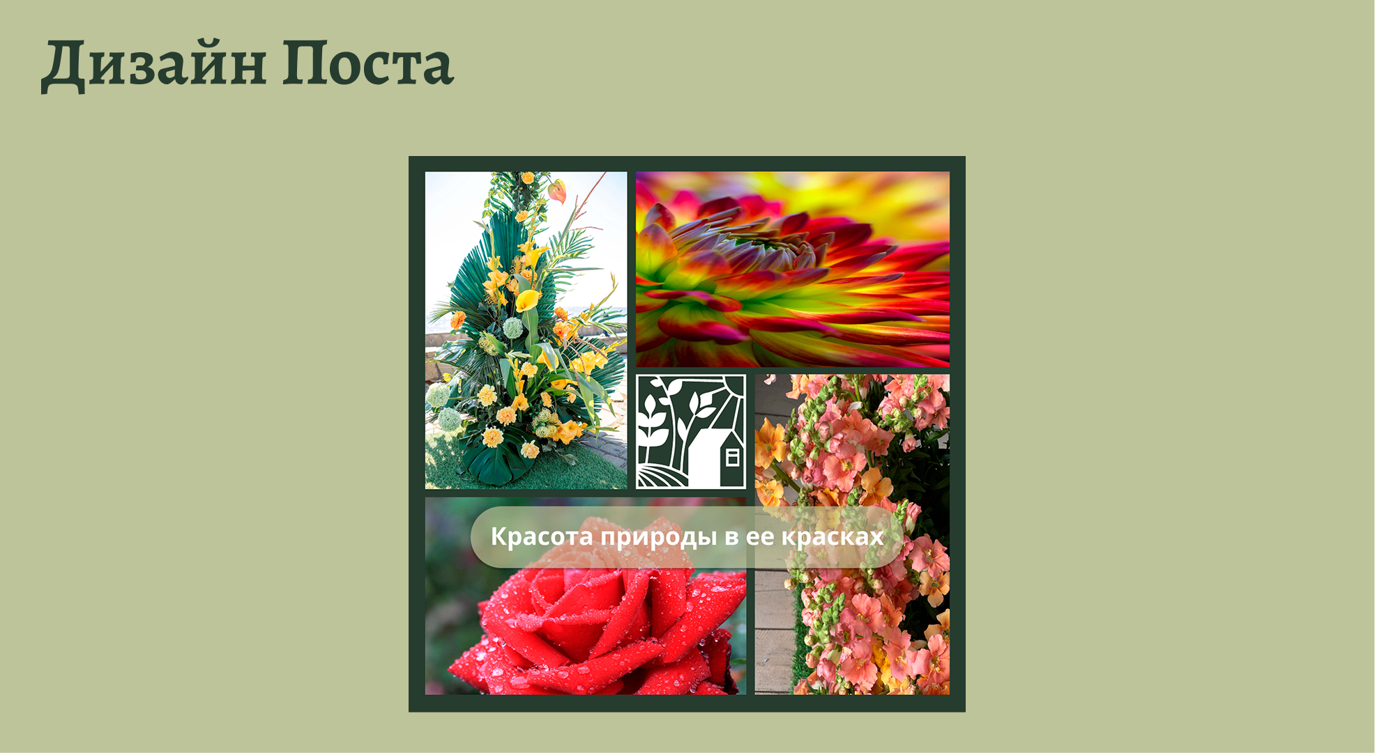 El Flower Farm баннеров для соцсетей и сториса. — Изображение №8 — Брендинг, Маркетинг на Dprofile