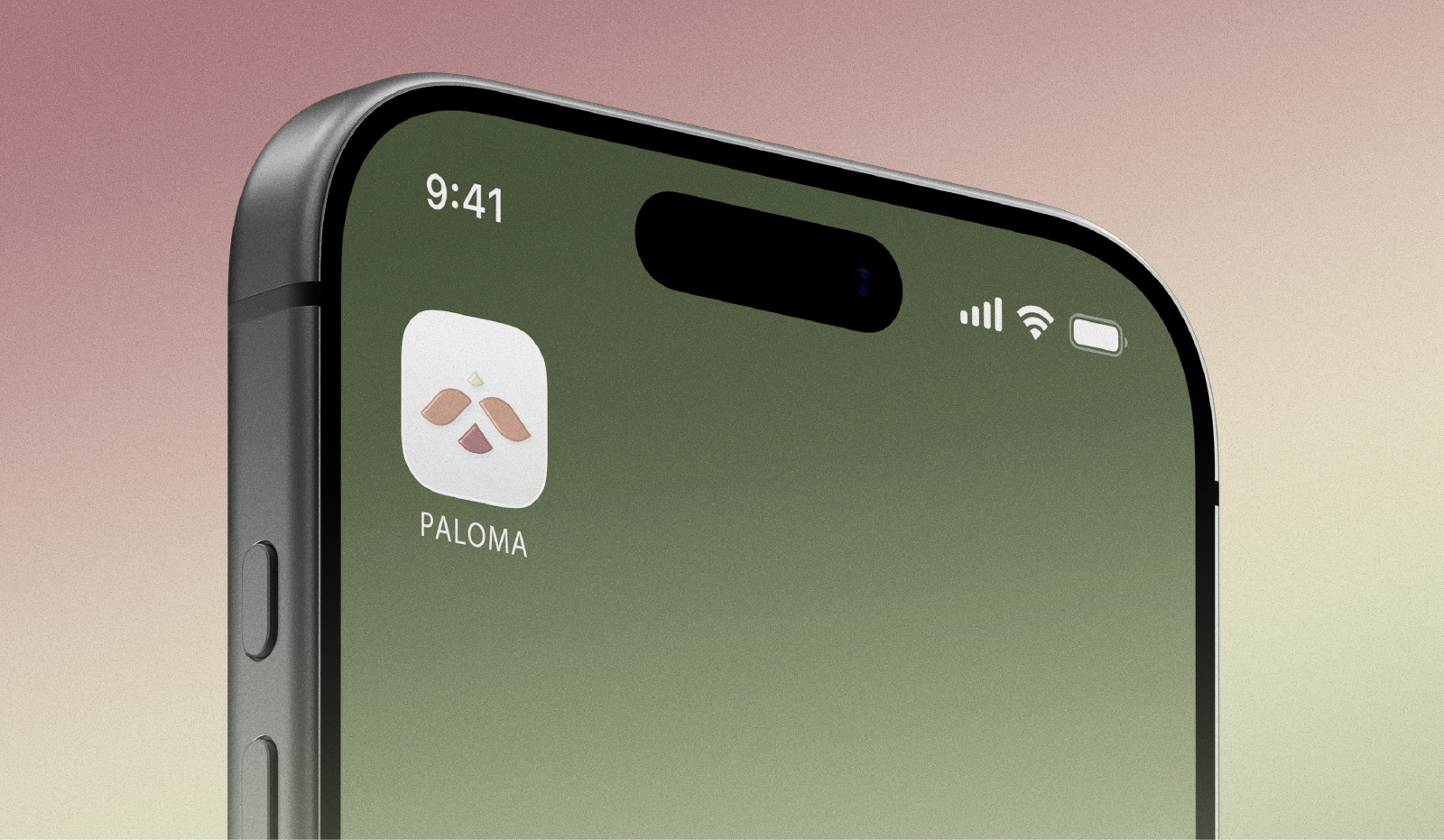 Концепт приложения "PALOMA" — Изображение №2 — Интерфейсы, Брендинг на Dprofile