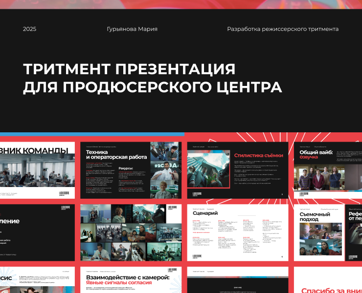 Режиссерский тритмент для продюсерского центра на Dprofile
