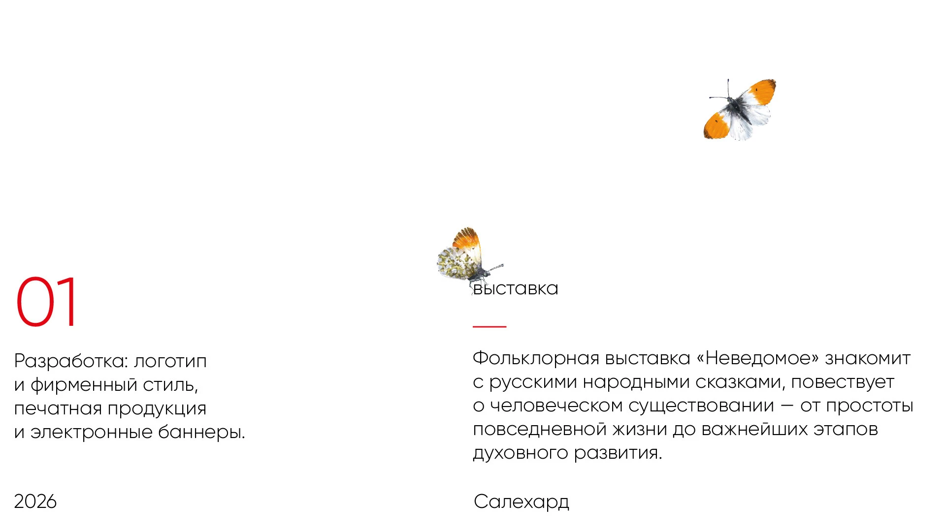 Дизайн портфолио (выставки, инсталляции и музеи) — Изображение №5 — Брендинг, Графика на Dprofile
