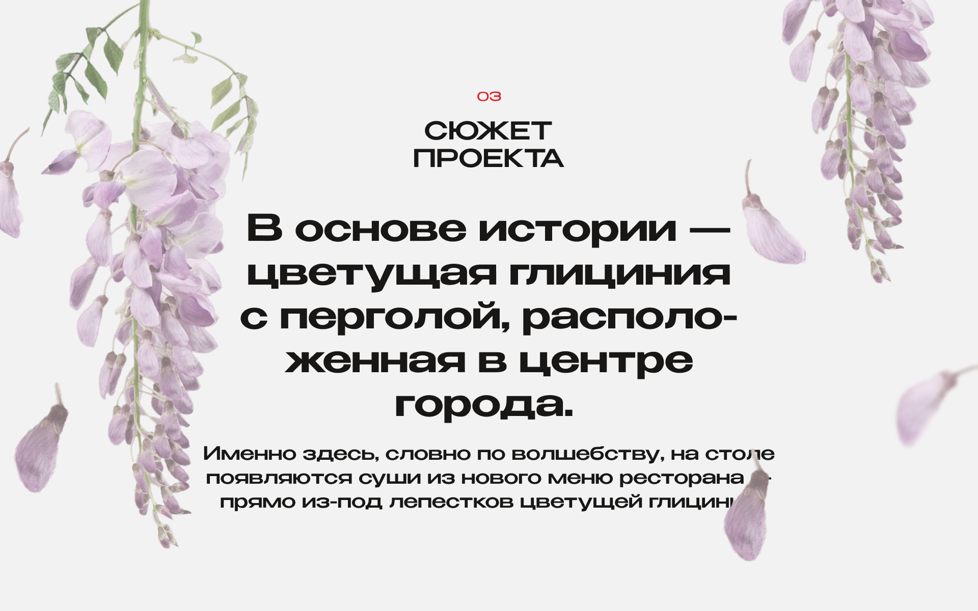 Tanuki CG — Рекламная кампания — Изображение №4 — 3D, Анимация на Dprofile