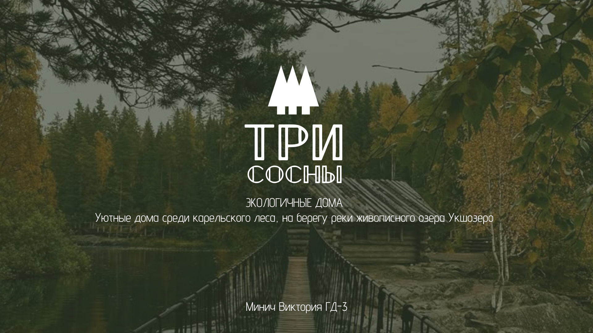 Разработка фирменного стиля для глэмпинга в Карелии — Изображение №1 — Брендинг на Dprofile