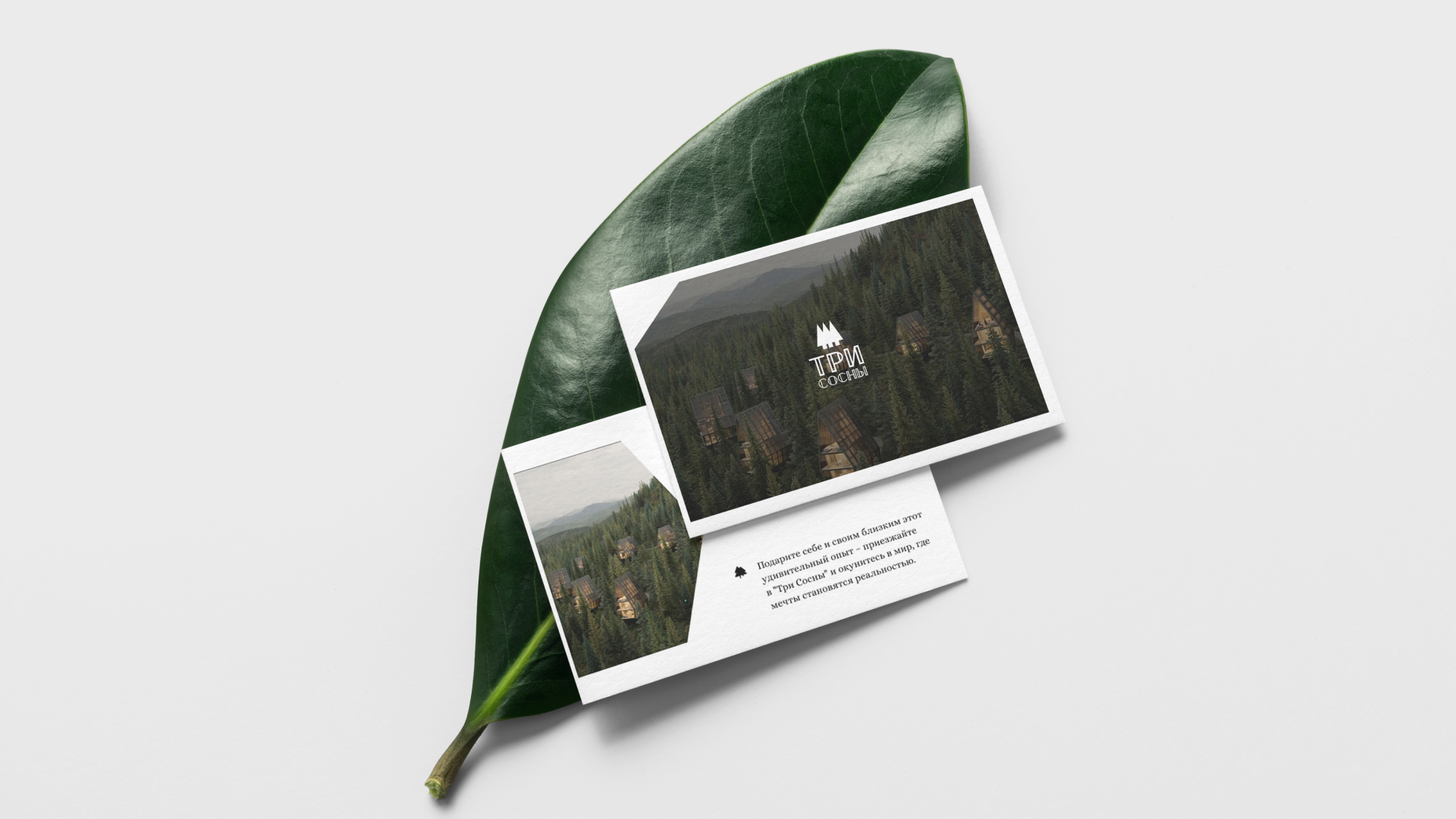 Разработка фирменного стиля для глэмпинга в Карелии — Изображение №8 — Брендинг на Dprofile