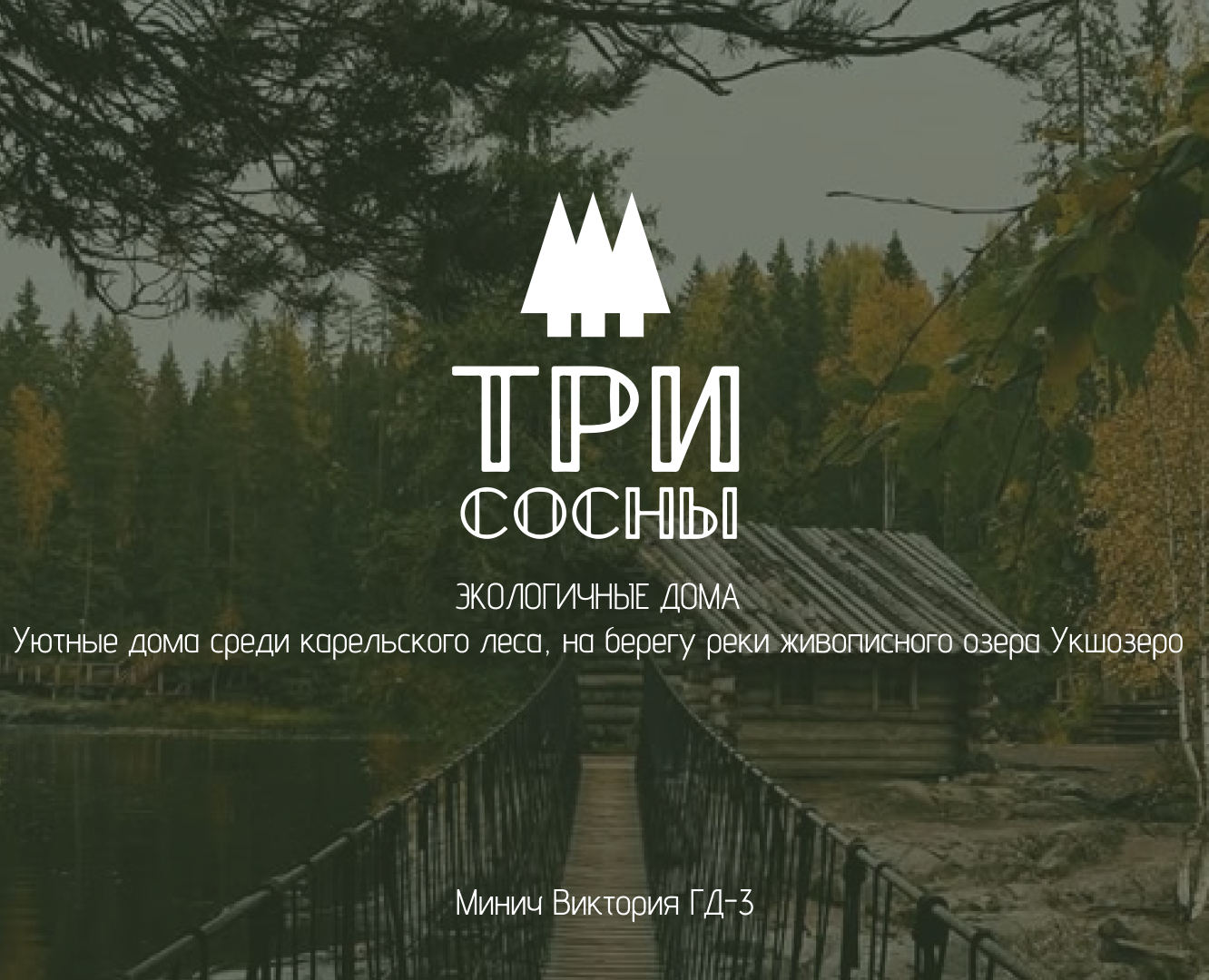 Разработка фирменного стиля для глэмпинга в Карелии — Брендинг на Dprofile